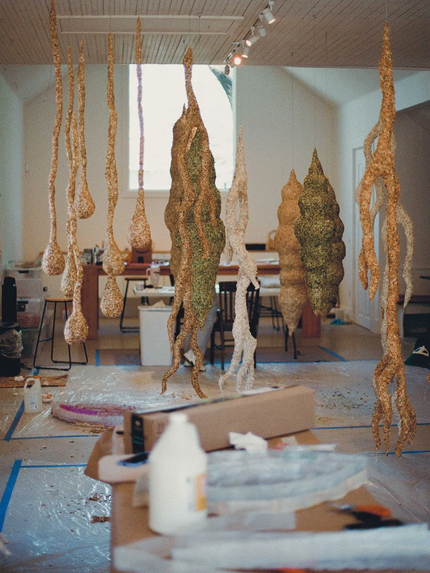 Karen spent the night before Nectar opened just sitting with it. Reflecting on the months of work, the collaboration with Elizabeth, and what it had all actually become.

Roots. Cocoons. Light held inside things like it was precious. An installation 