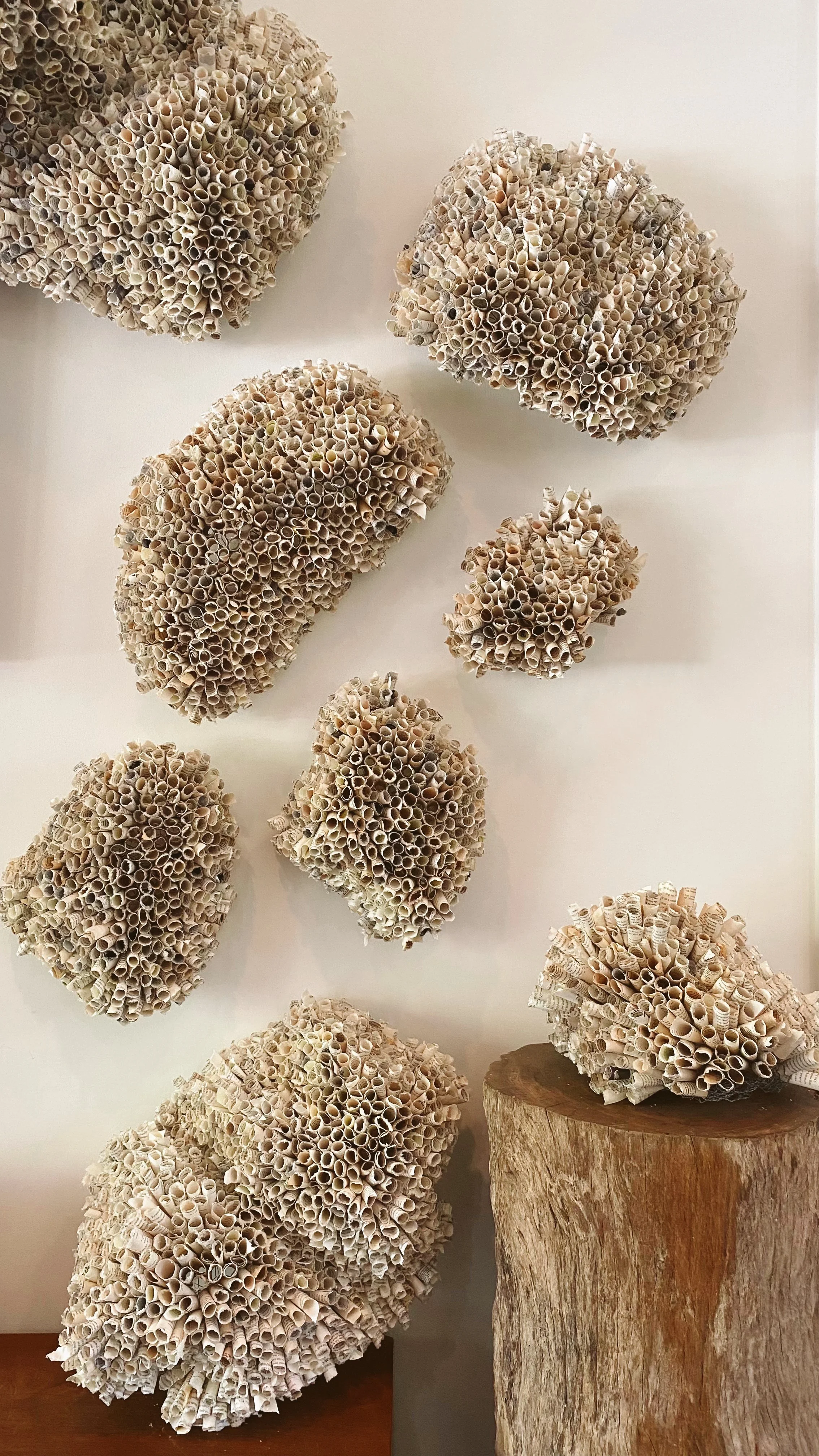 Karen_Hawkins_Art_Studio_Paper Nest