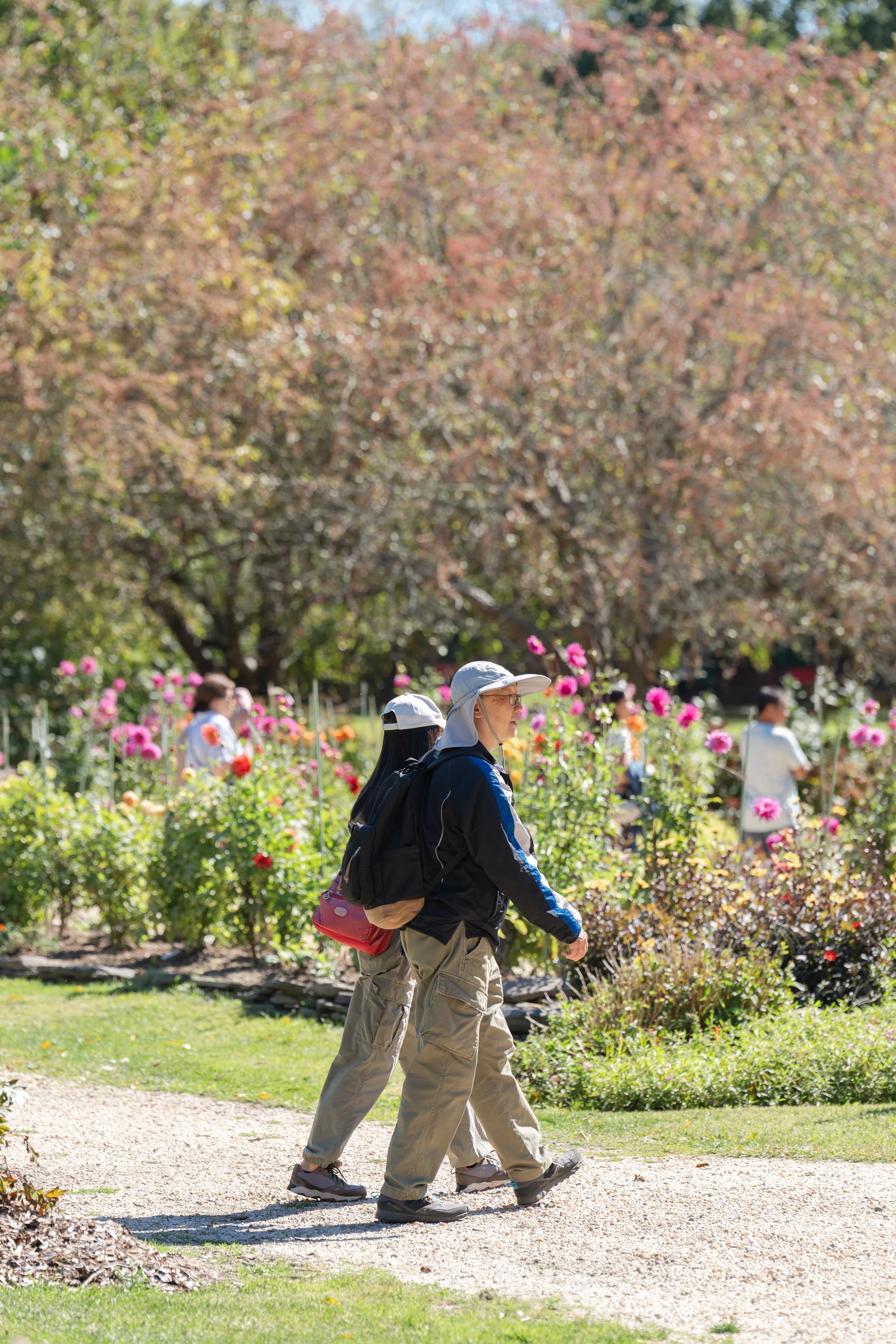 Sam Van Aken 2025 Planting Fields Catalyst_09-20-2025_034.jpg