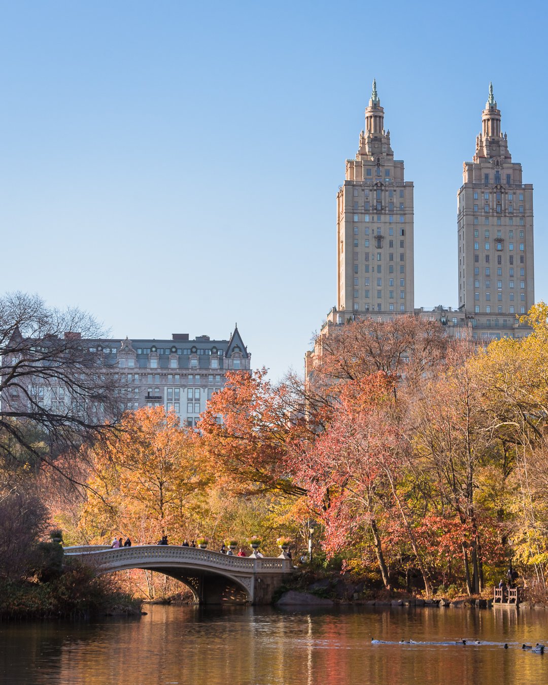 18 - Central Park in the Fall.jpeg