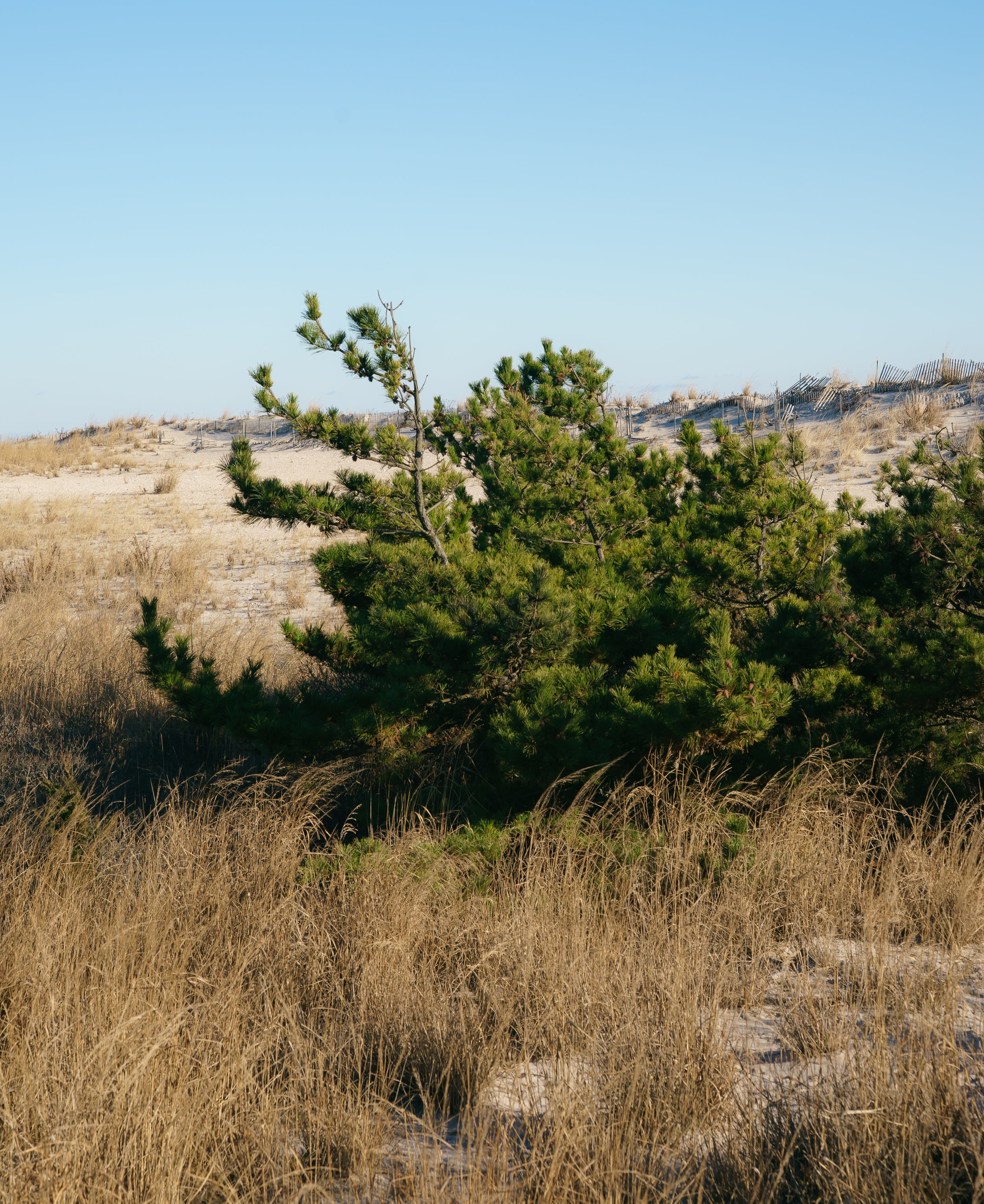 Considerations When Planning to Exhibit at Red Dot Miami or Any Art Show