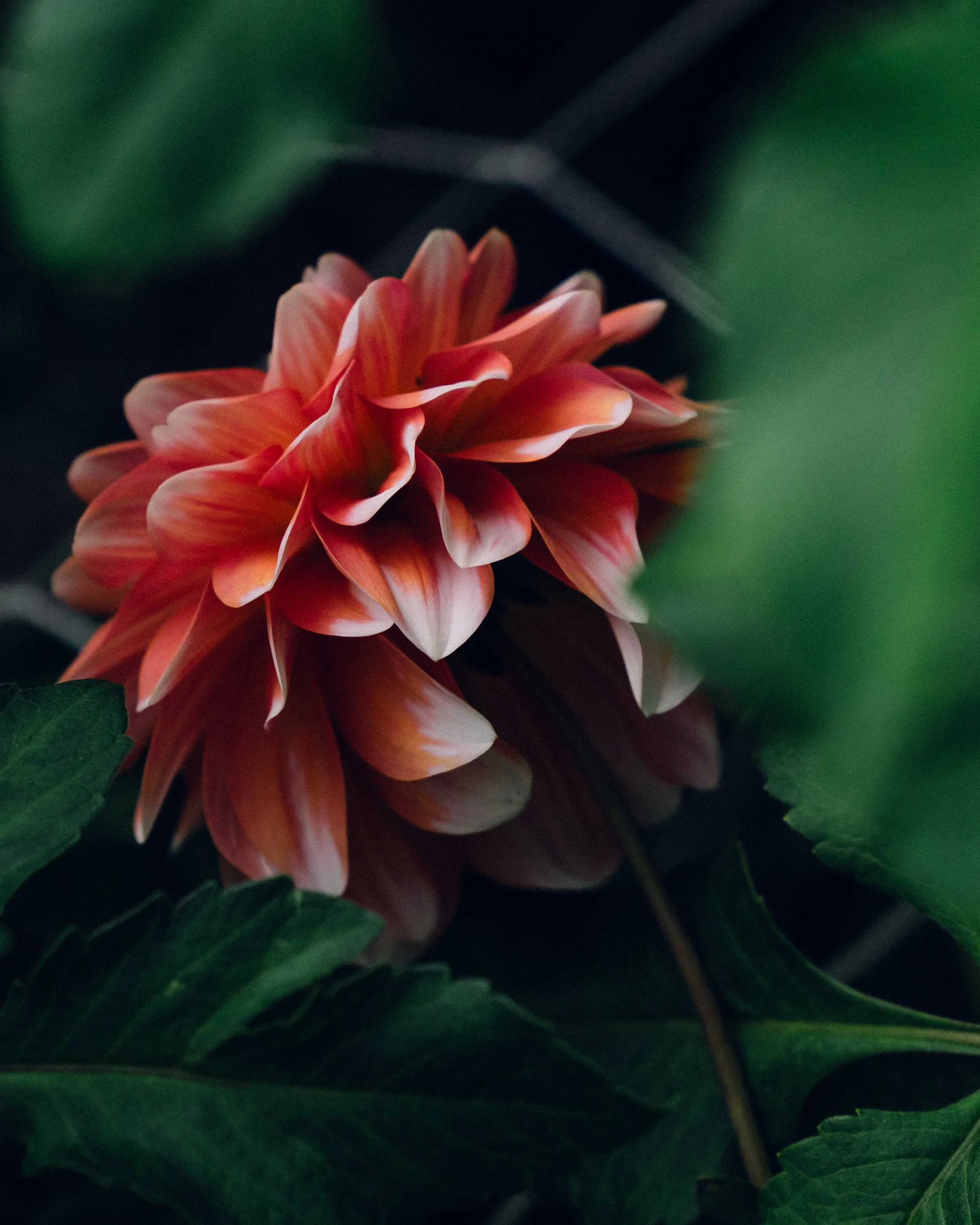 What I Would Do to Stop the Nerves After Participating in My First Artist Panel Discussion