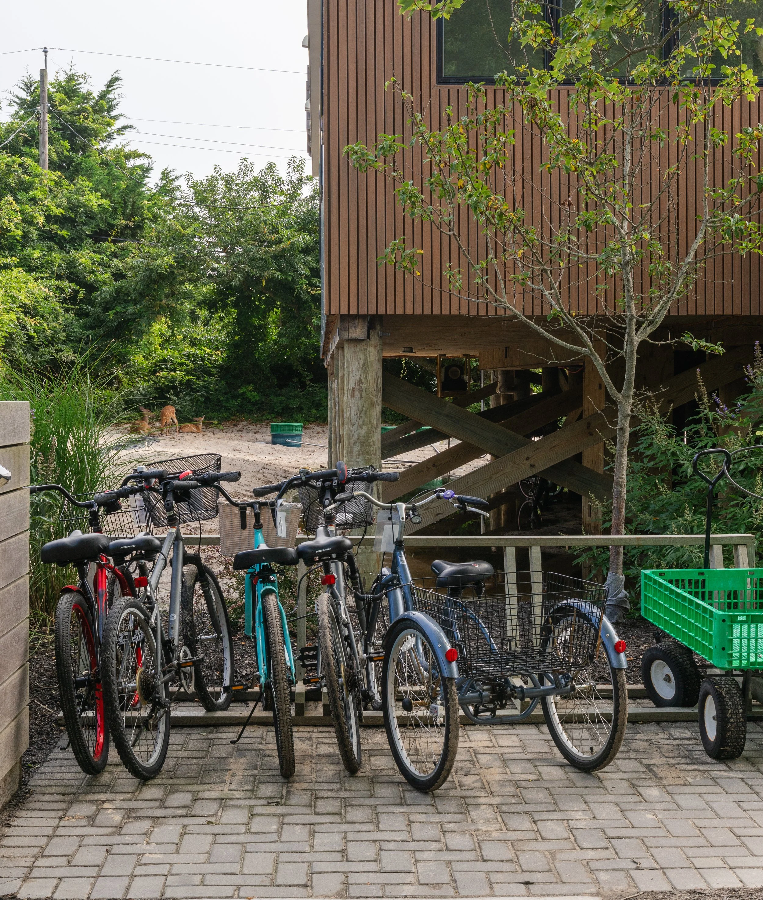 Corinne Tousey Photography_DCS06601_f.jpg