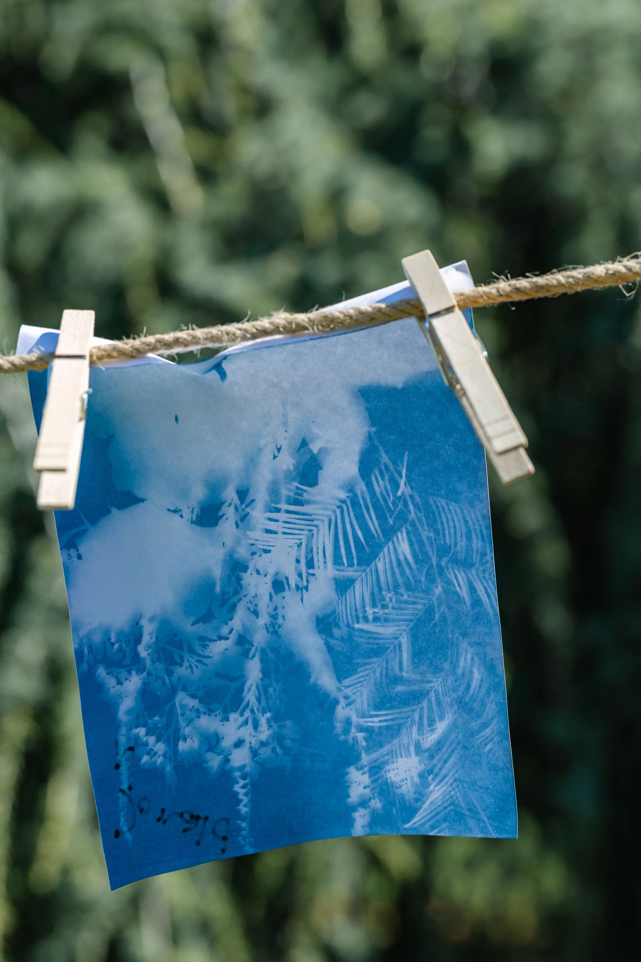 Sam Van Aken 2025 Planting Fields Catalyst_09-20-2025_059.jpg