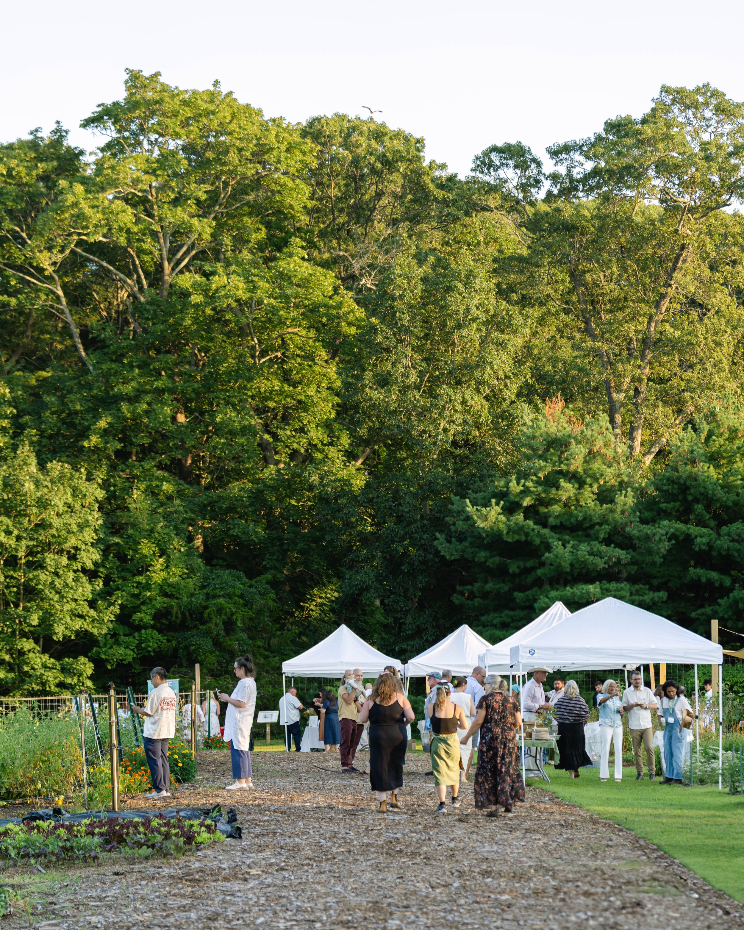 Bayard Fields & Flavors Gala_8.9.25_067.jpg