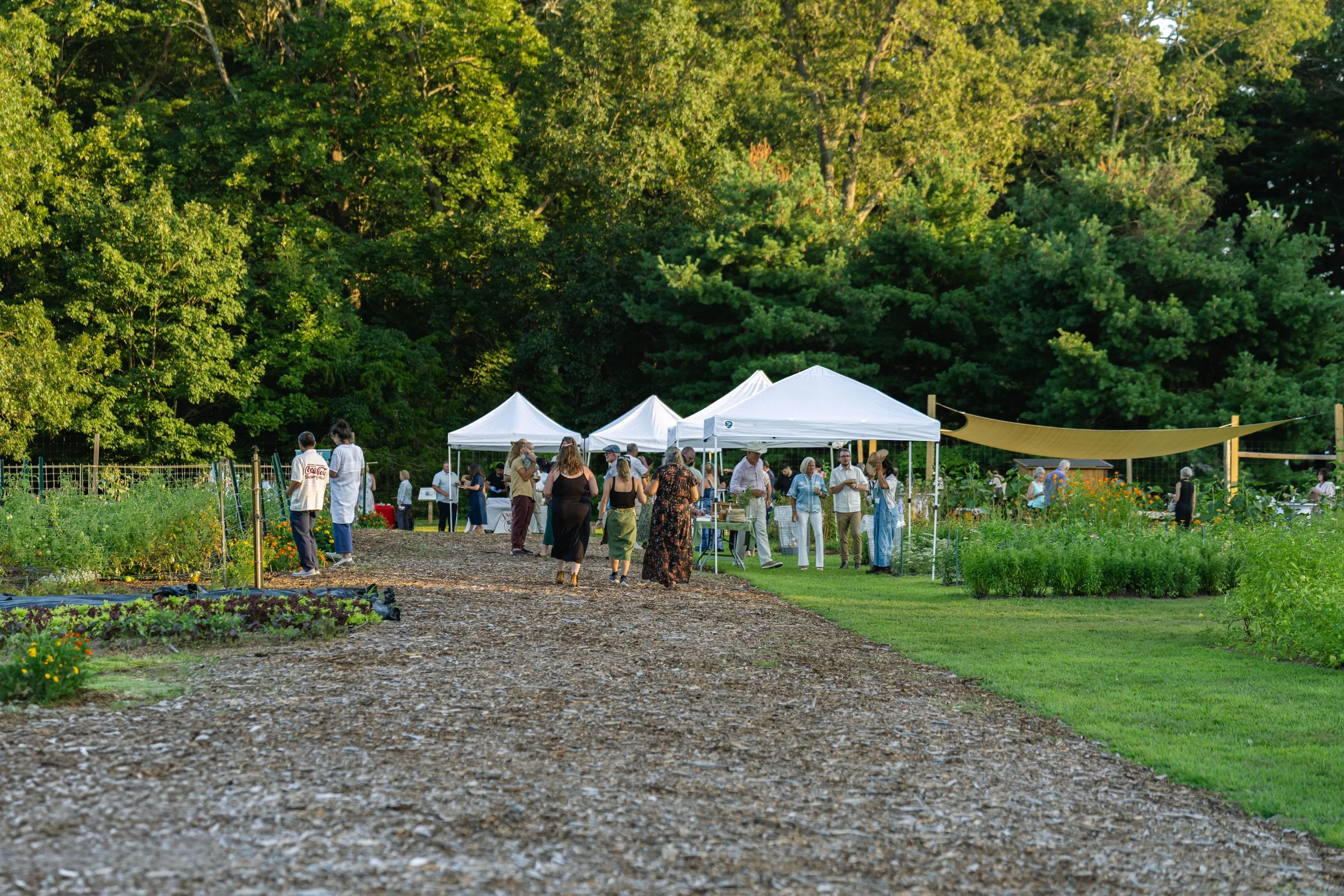 Bayard Fields & Flavors Gala_8.9.25_068.jpg