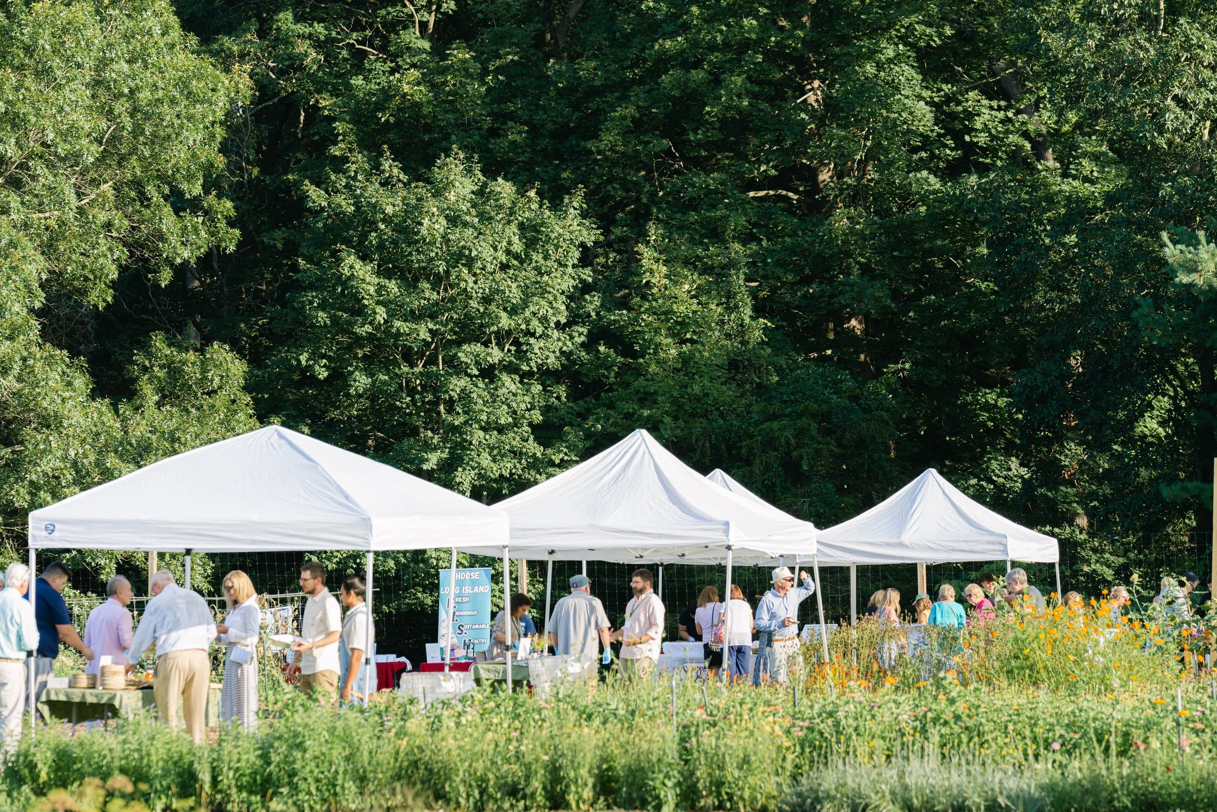 Bayard Fields & Flavors Gala_8.9.25_007.jpg