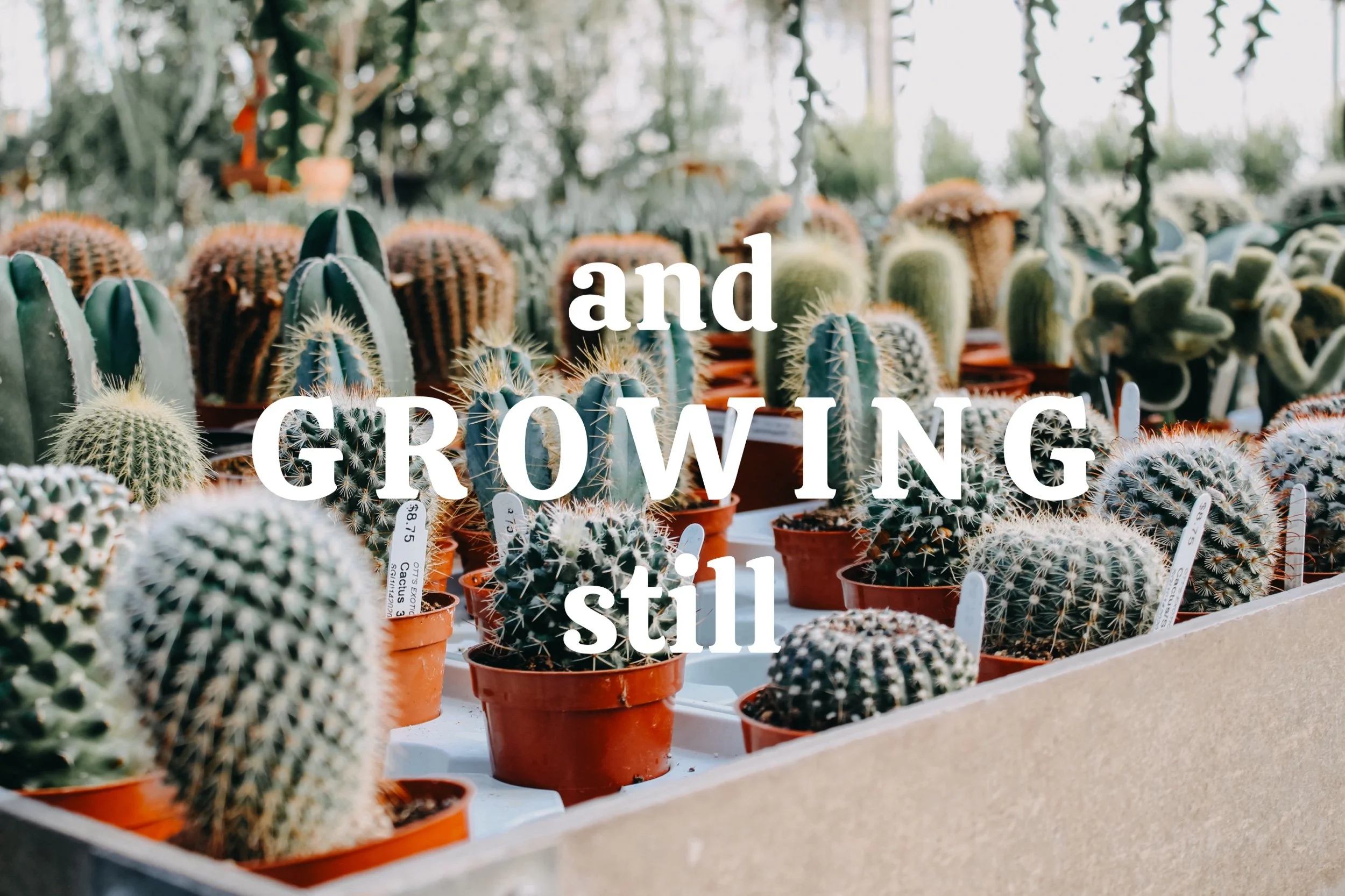 …And Growing Still