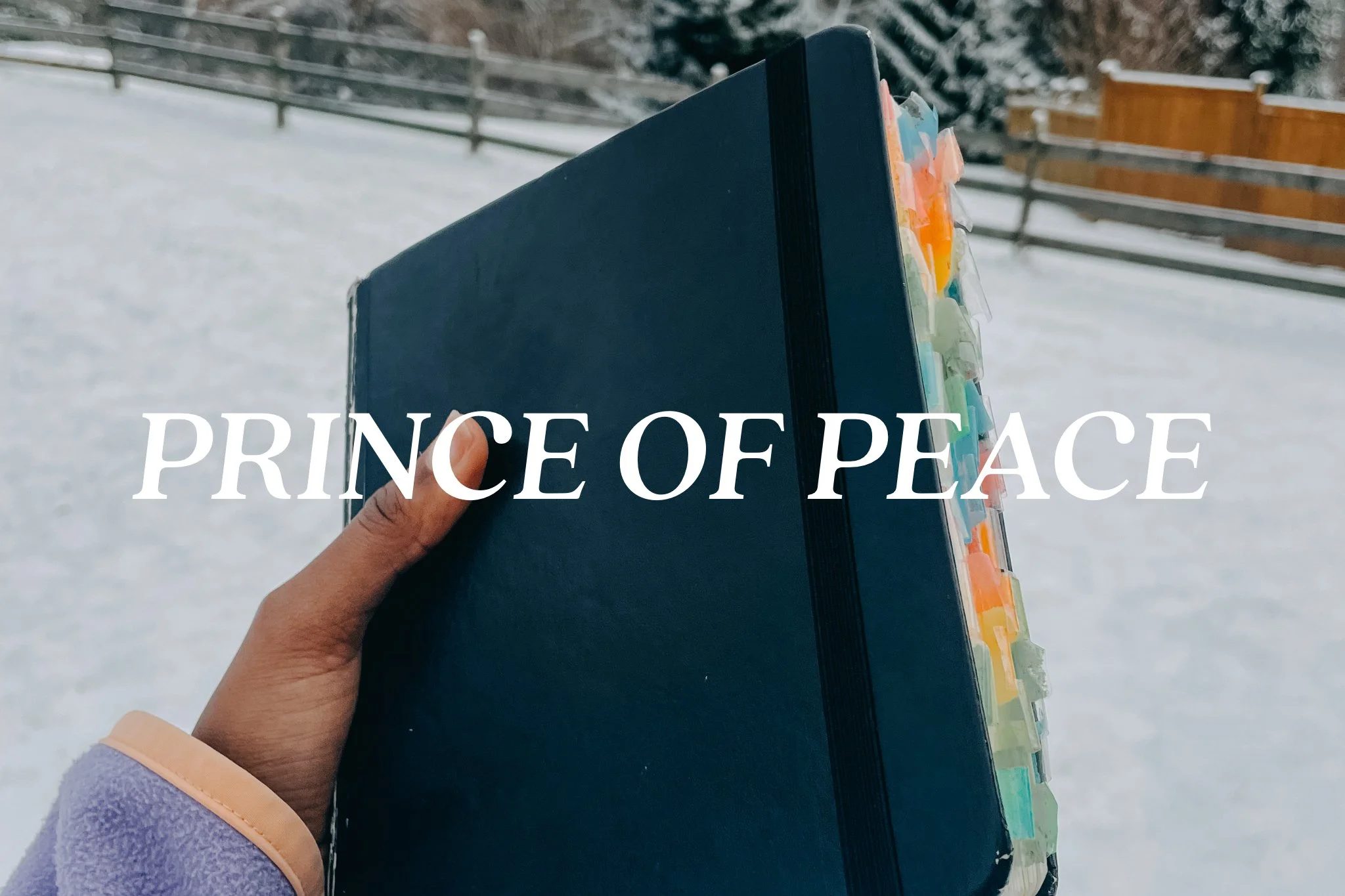 Prince Of Peace; Solace Amidst The Storm