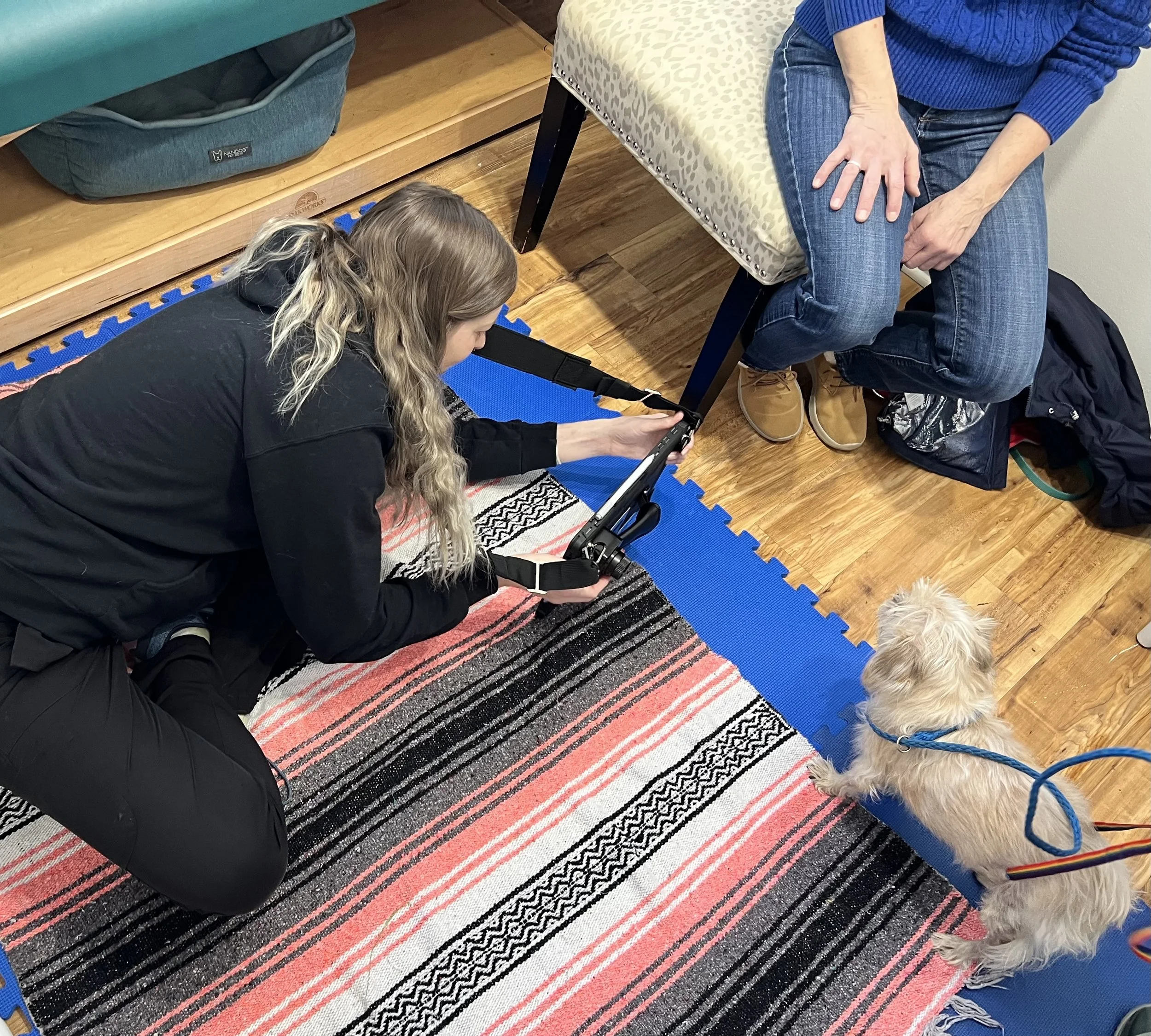 A woman in black kneeling on a patterned rug, taking a photograph of a person sitting on a bench with a small dog on a blue leash nearby, on a hardwood floor.