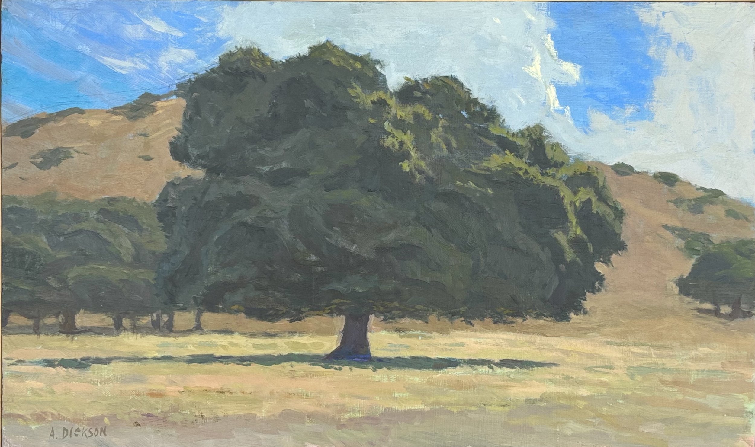 Lone Oak at Midday, Corral de Tierra, 12" x 20", Oil on panel, Available at The Gallery Arroyo Grande