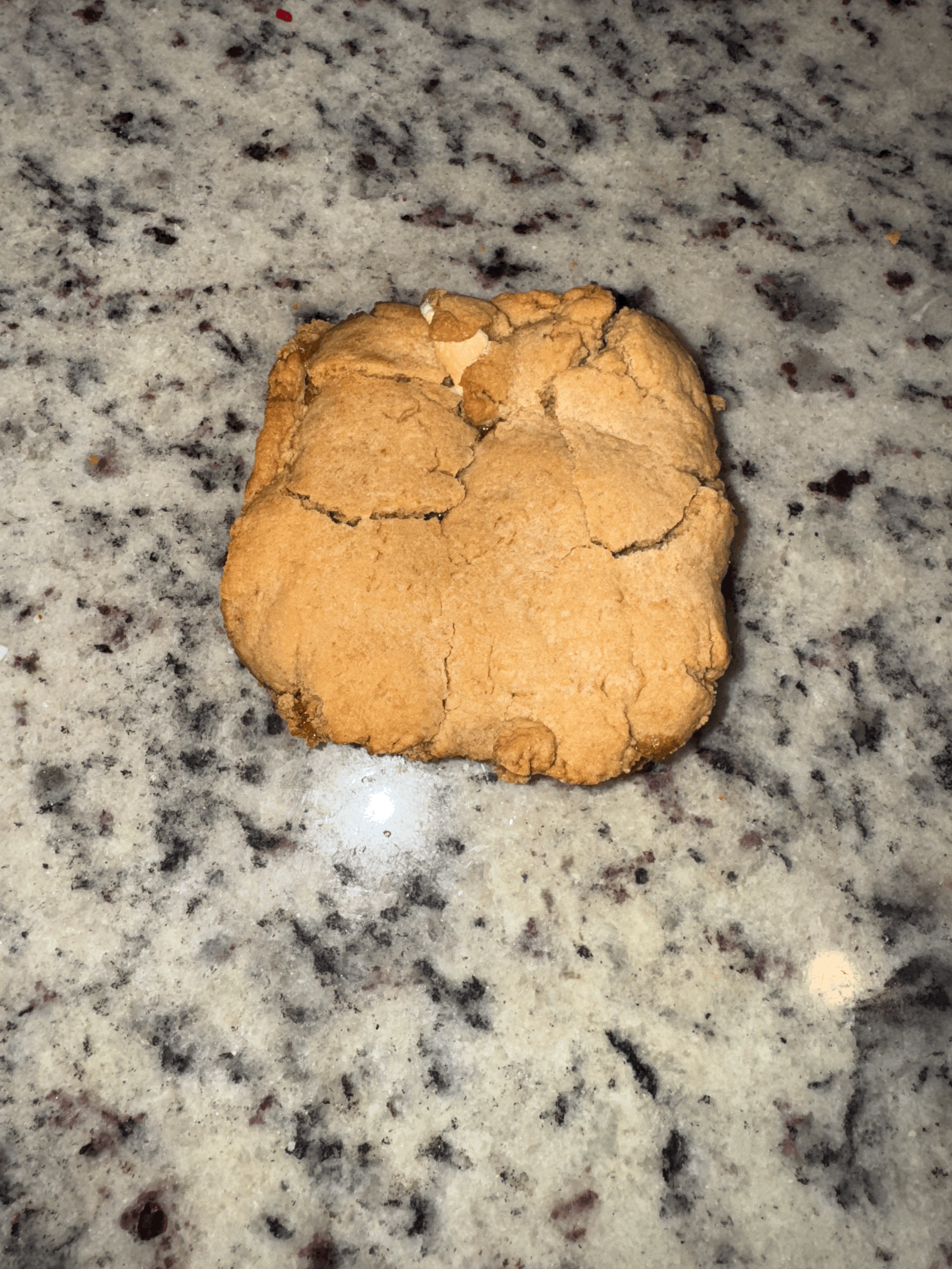 COOKIE BUTTER S'MORE BARS