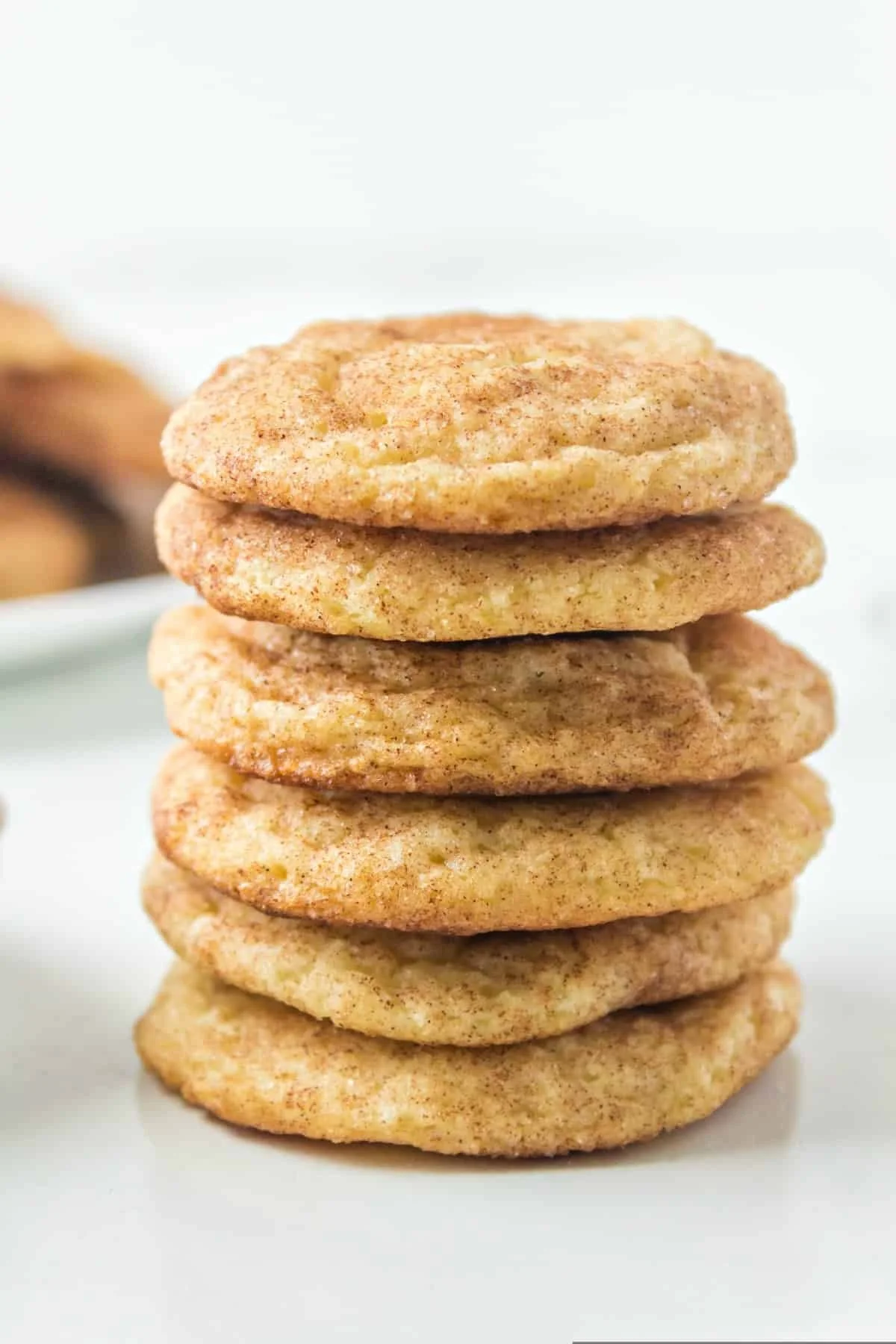 SNICKERDOODLE COOKIE