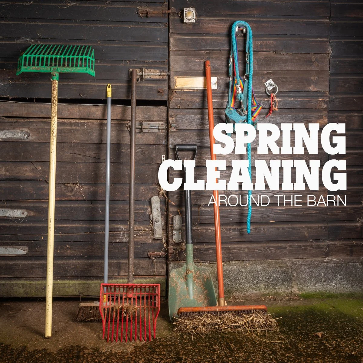 1-Barn Spring Cleaning-EL522.jpg