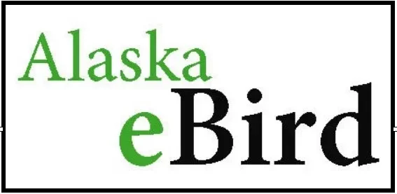 eBird Workshop 