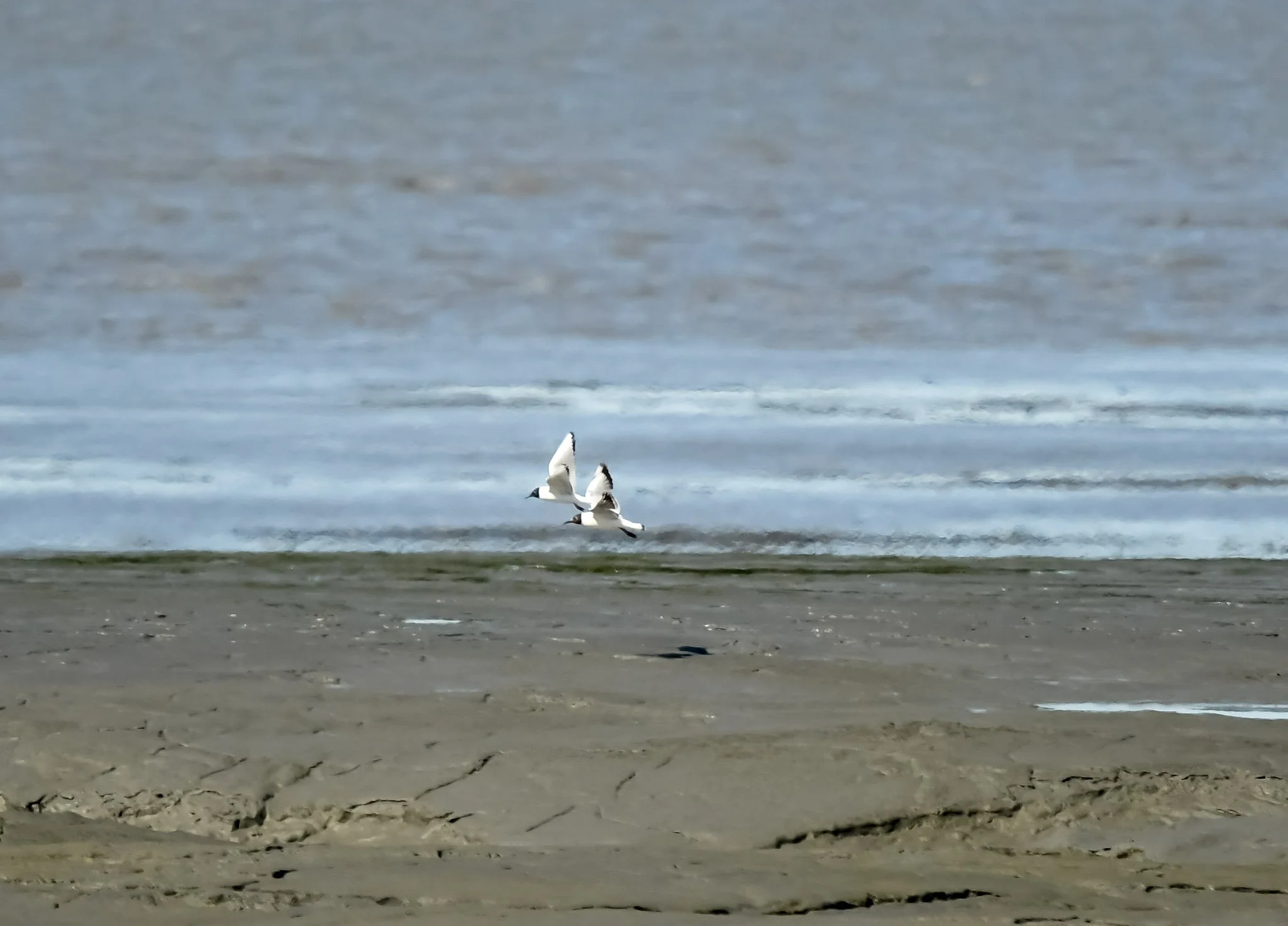 High Tides in July!