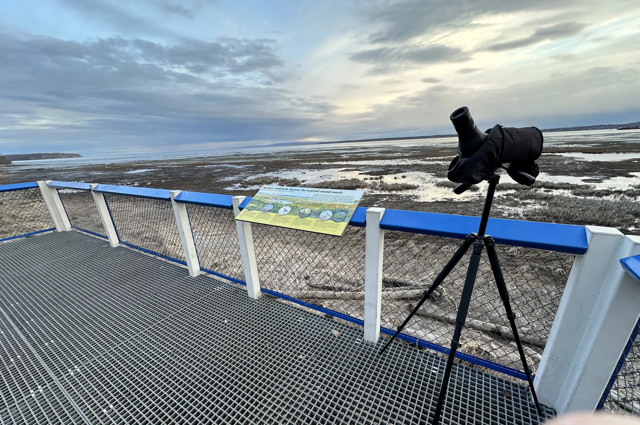 High Tides in July!