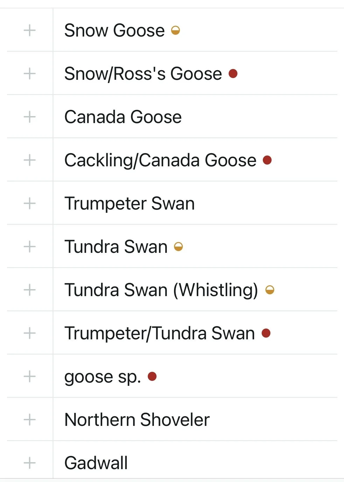 Intro to eBird at Audubon Bench