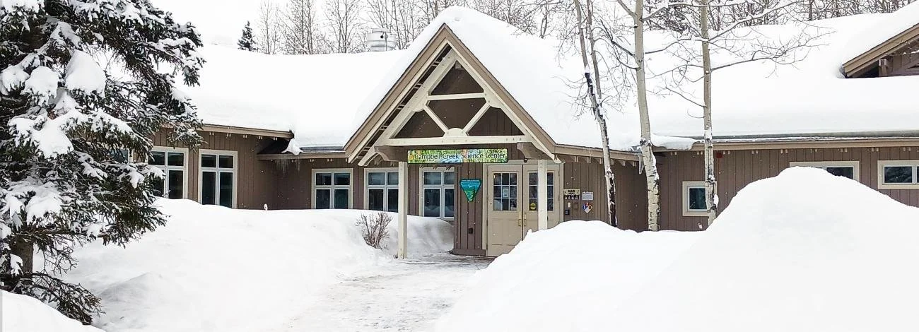 Winter Walk at Campbell Creek Science Center