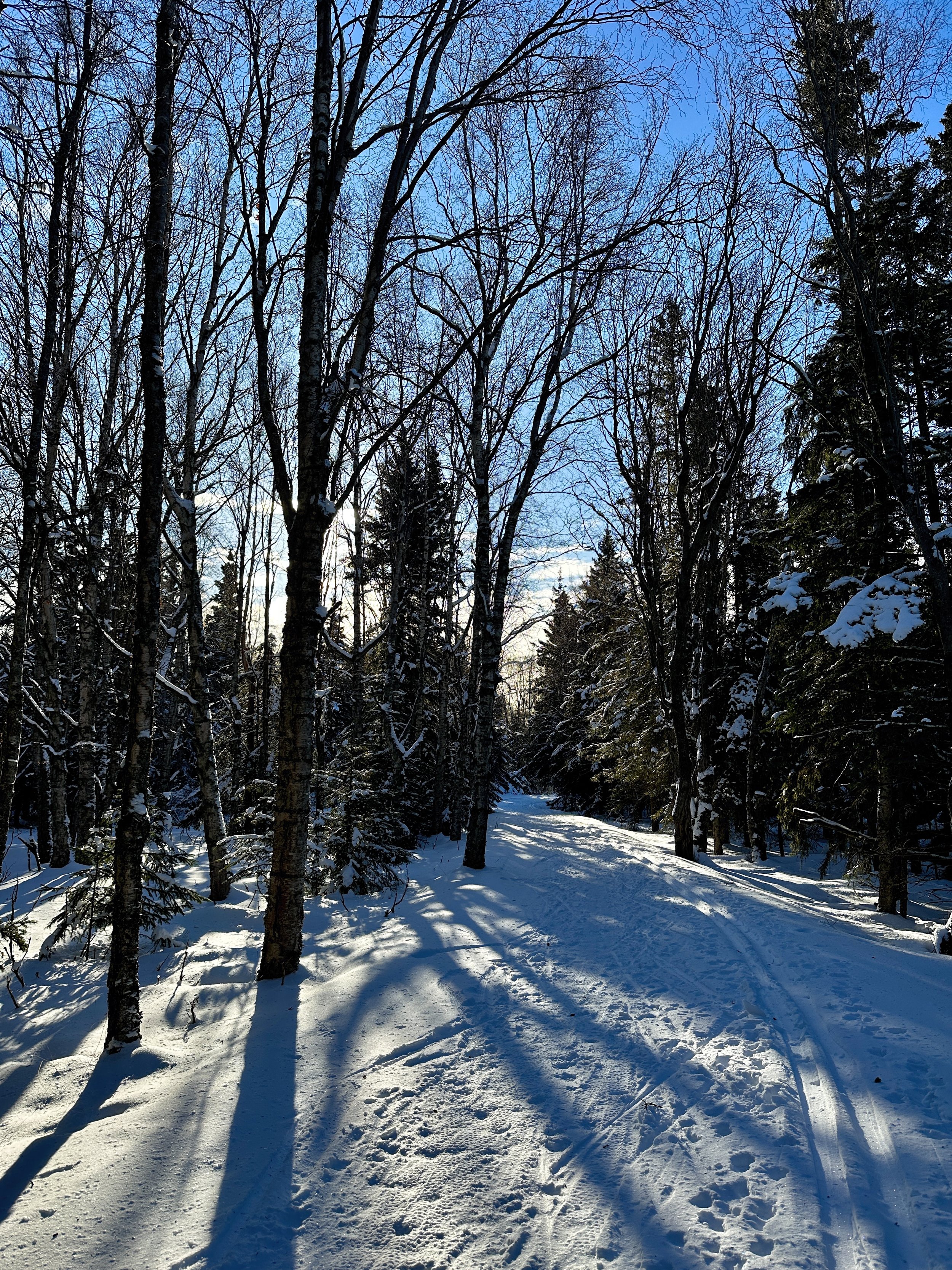 Kincaid Winter Walk