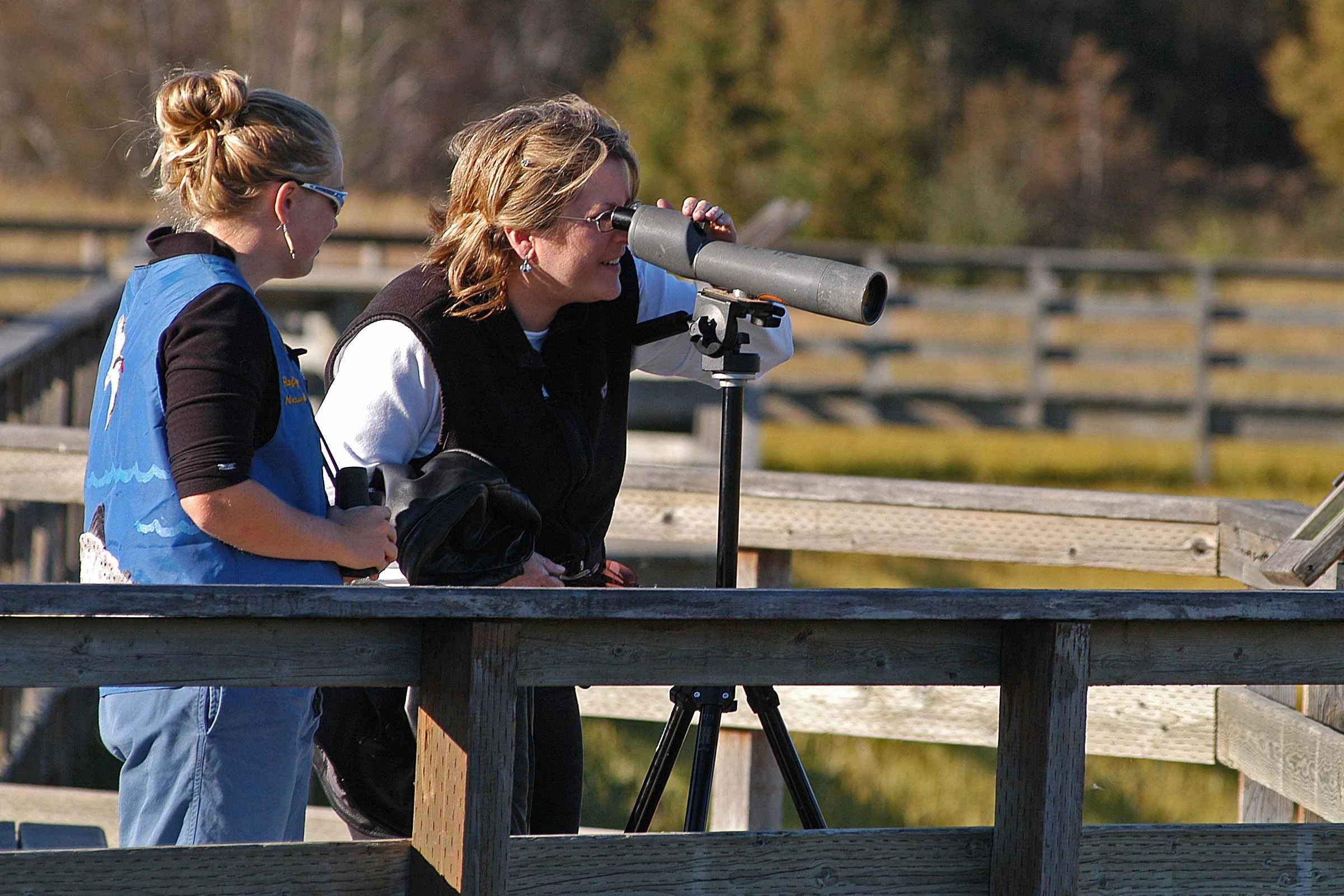 About Us — Anchorage Audubon Society