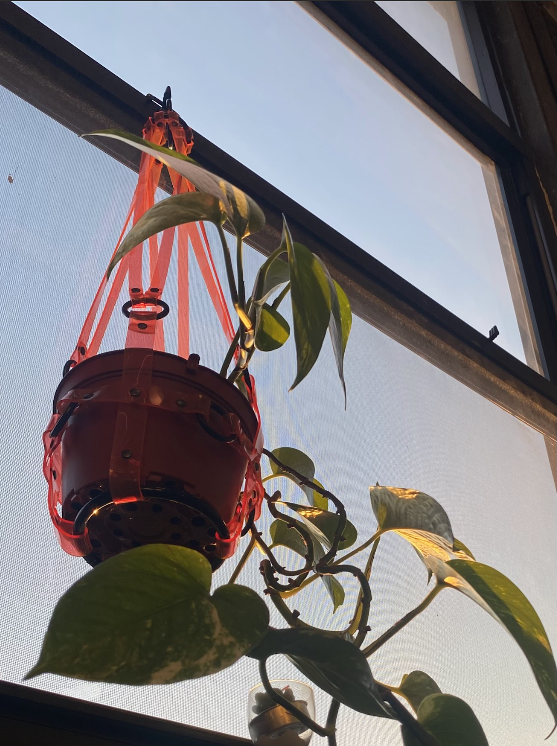 Screen Shot 2023-07-06 at 6.02.45 PM.png