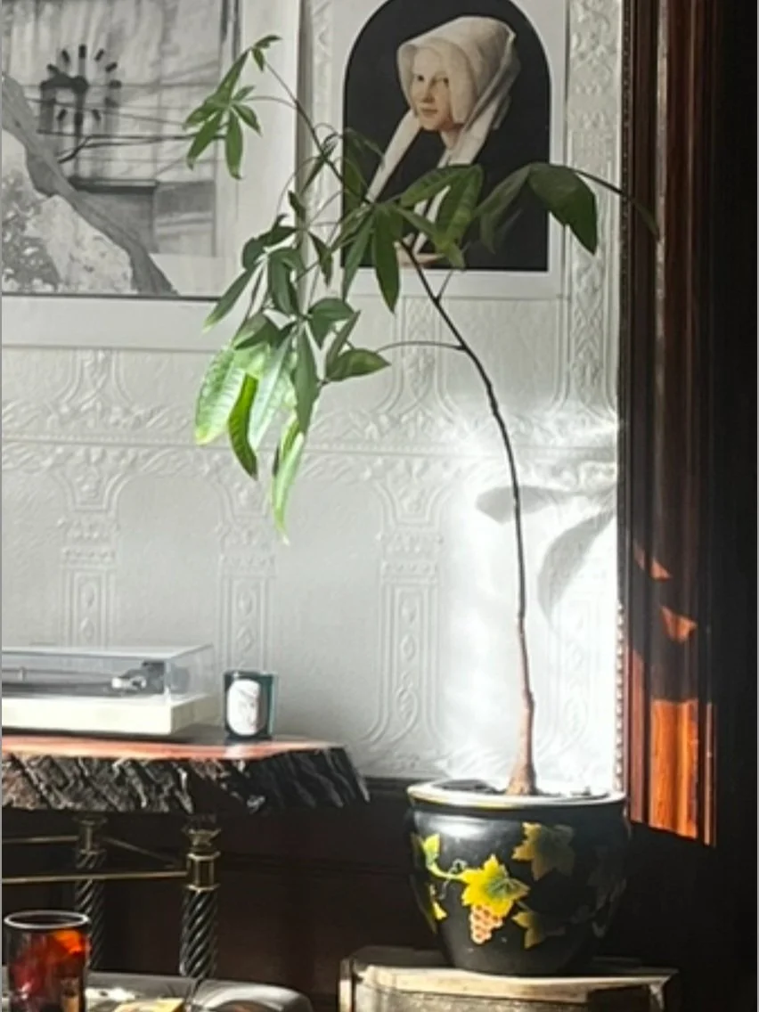 Screenshot 2025-06-26 at 1.24.09 AM.jpg