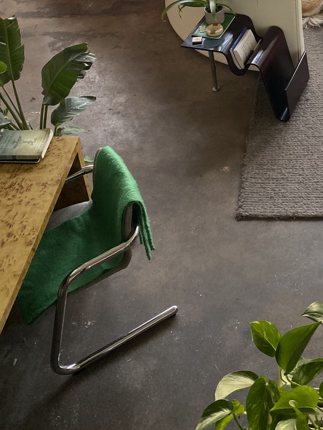 Screen Shot 2023-07-06 at 5.56.44 PM.png