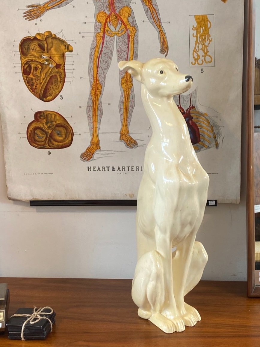 Screen Shot 2023-07-03 at 12.53.18 PM.jpg