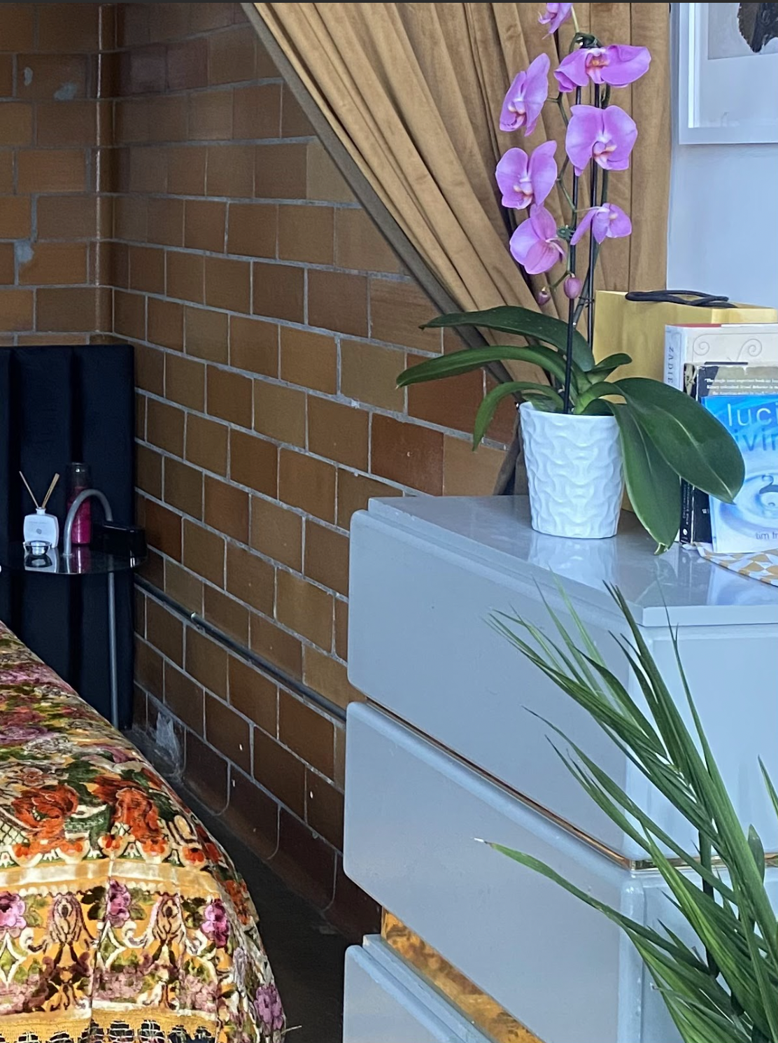 Screen Shot 2023-07-06 at 6.03.27 PM.png