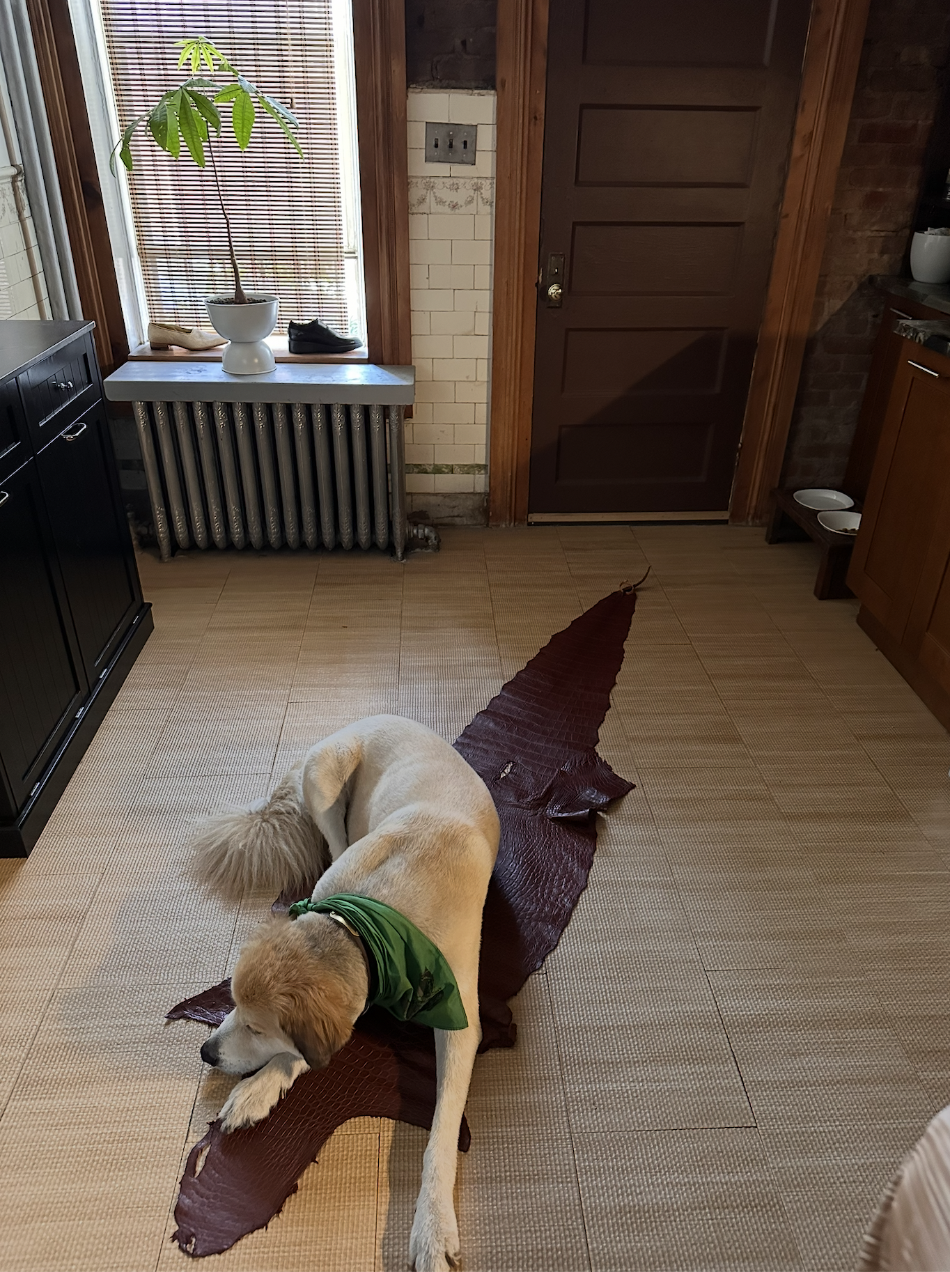 Screenshot 2025-06-26 at 1.27.35 AM.png