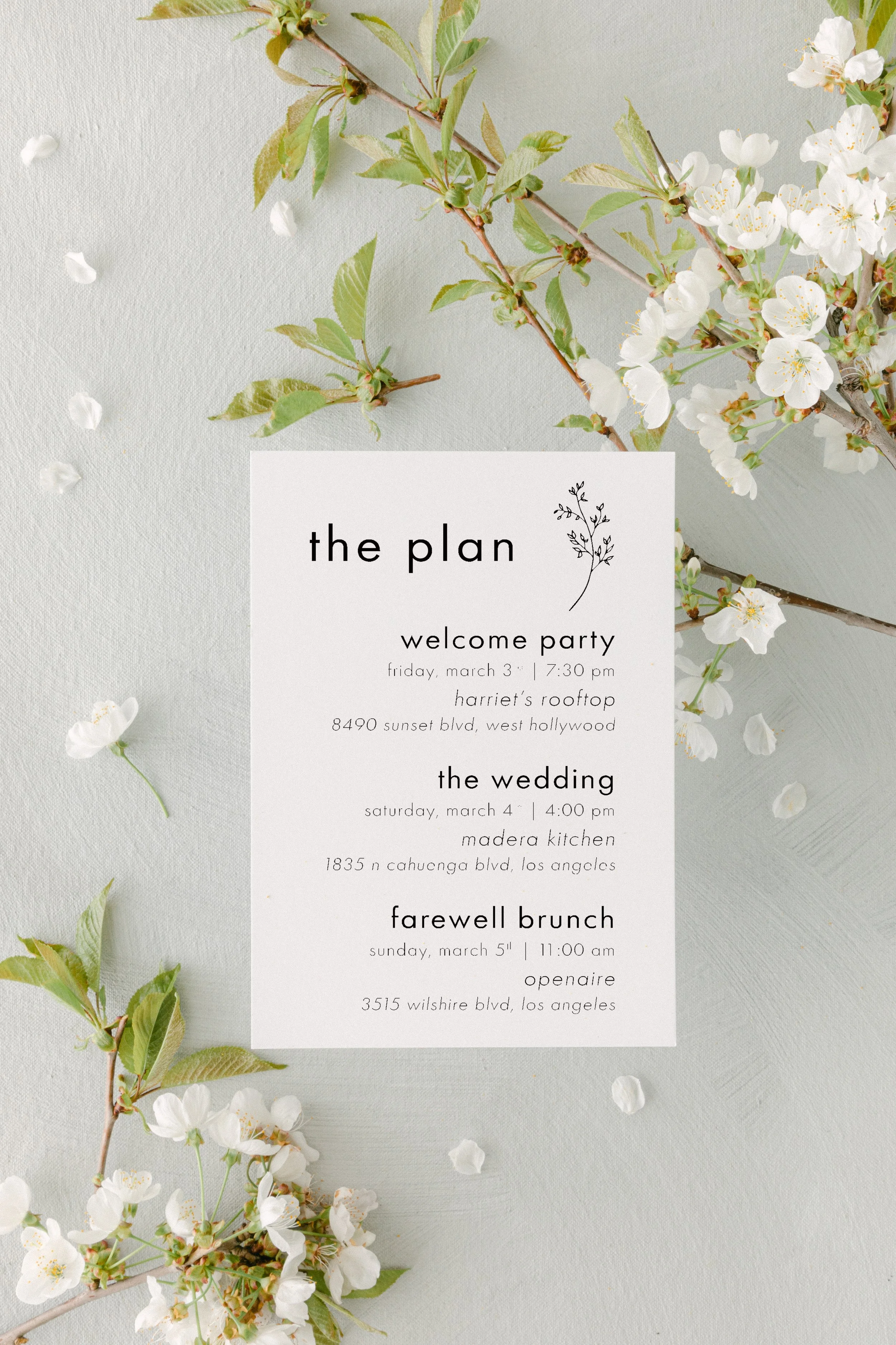 Botanicals mockup - Details.jpg