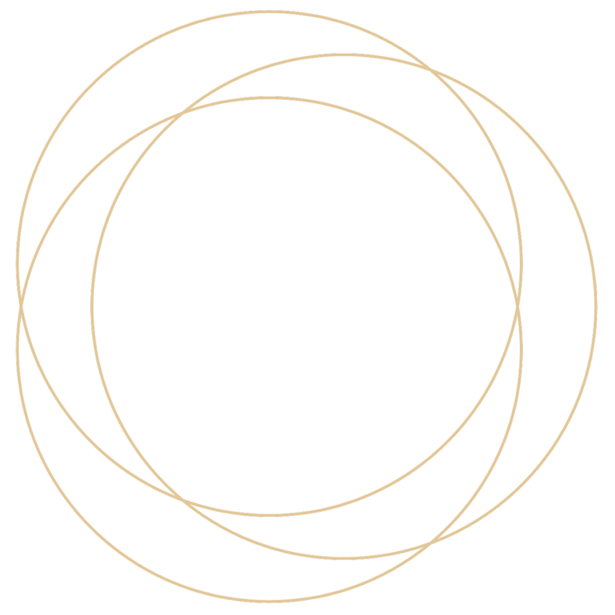 Florent_Web-01b.png
