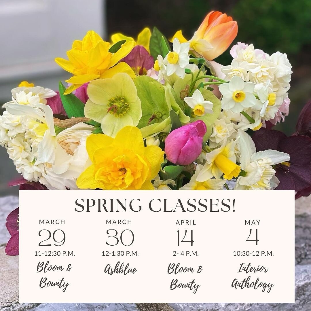 Spring is going to be busy, and beautiful! 

Join me for an upcoming design class or seed-starting (soil-blocking) workshop in the coming weeks. Three beautiful locations to choose from, including @ashbluenashville in Green Hills and @iaemporium in G