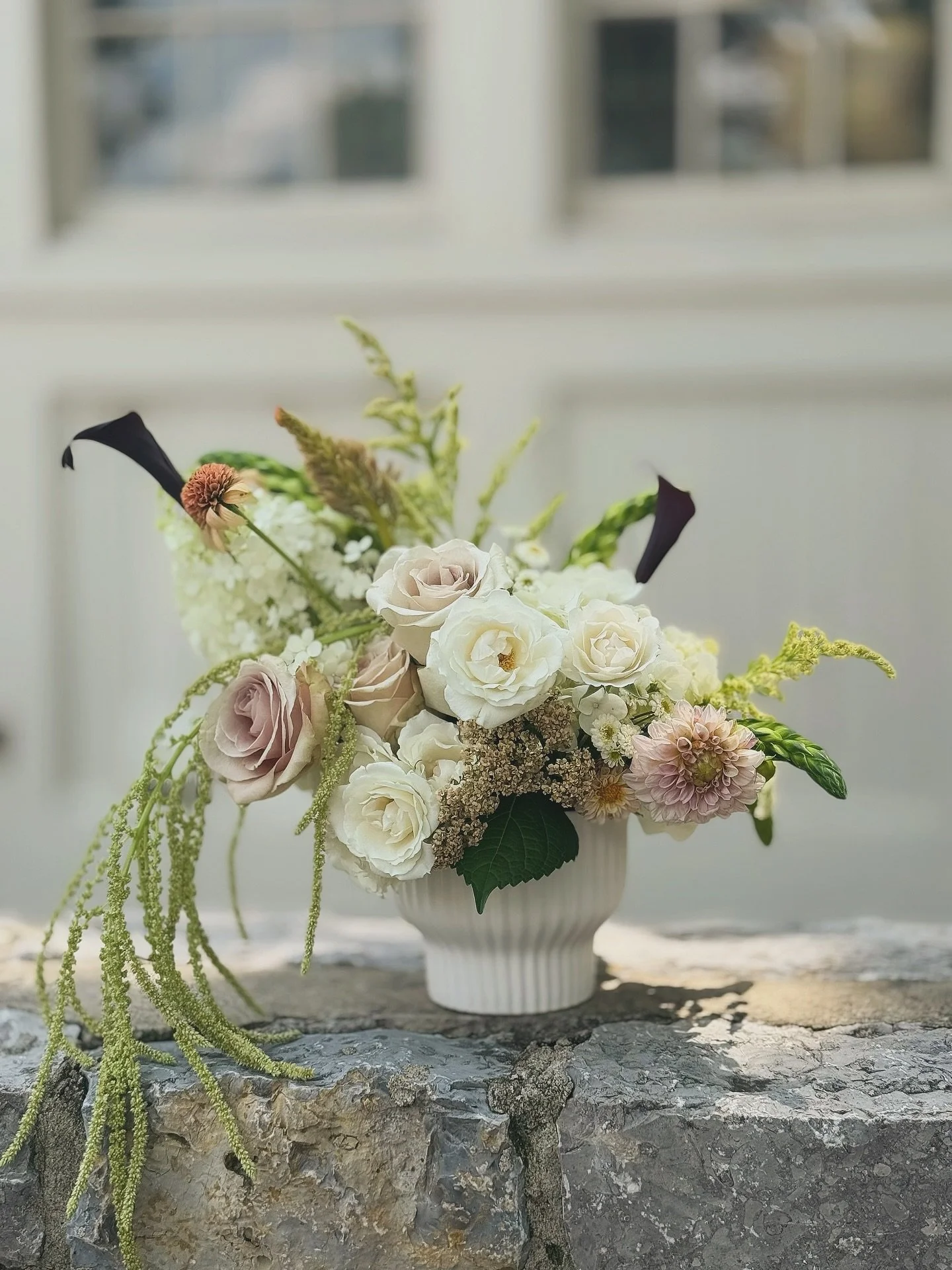 Yeah, kind of obsessed with the drama of Amaranthus lately 

#summerannualflowers #amaranthus #flowerfarming #farmerflorist #seedtovaseflorist #nashvilleflorist #bloomandbounty