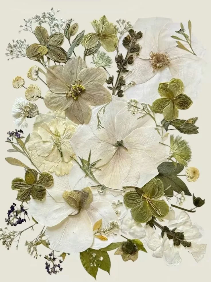 Seasonal Design: The Art of Flower Pressing (with guest co-host Melody Trivisone)