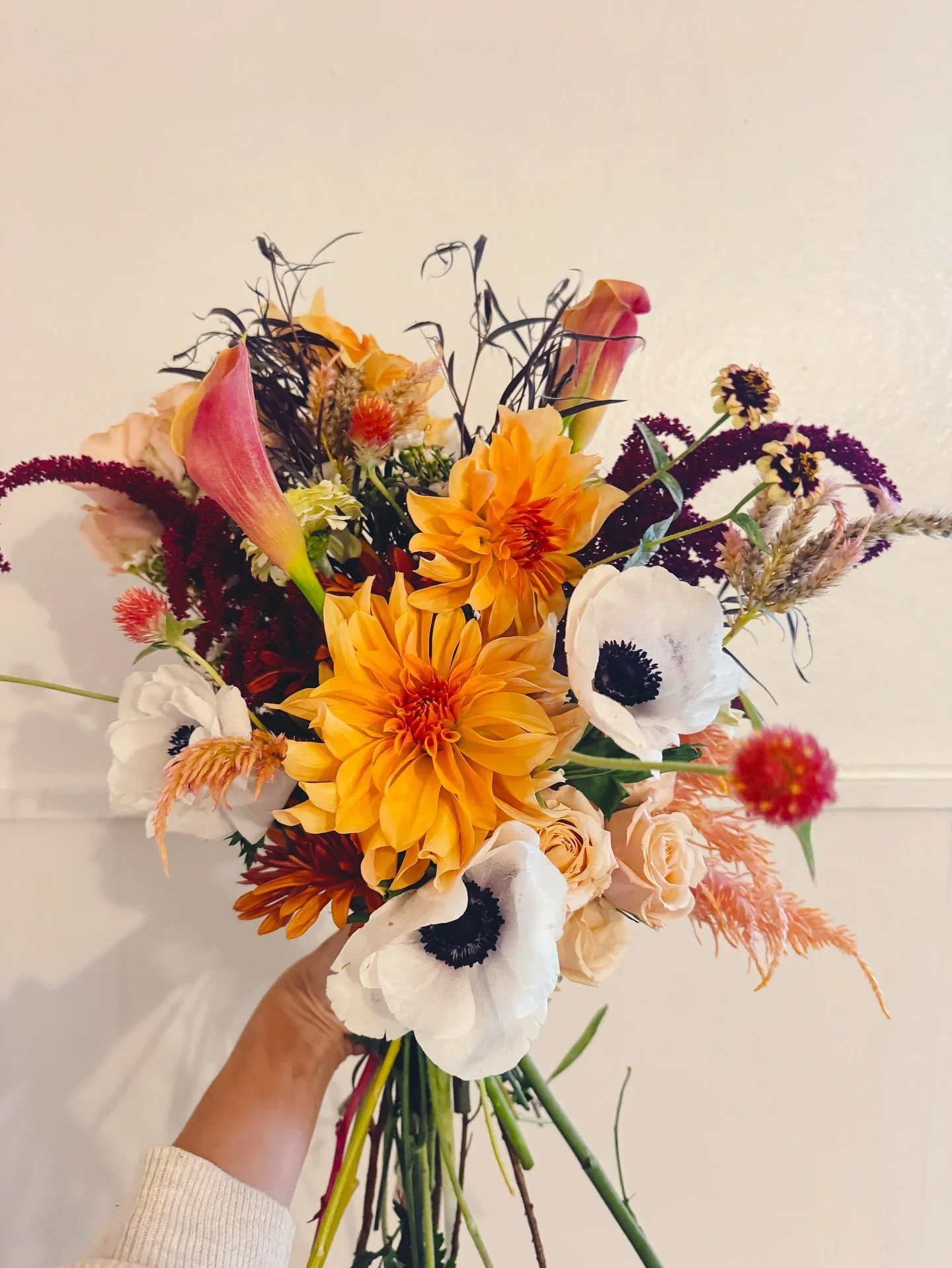 Buh bye dahlias 😢