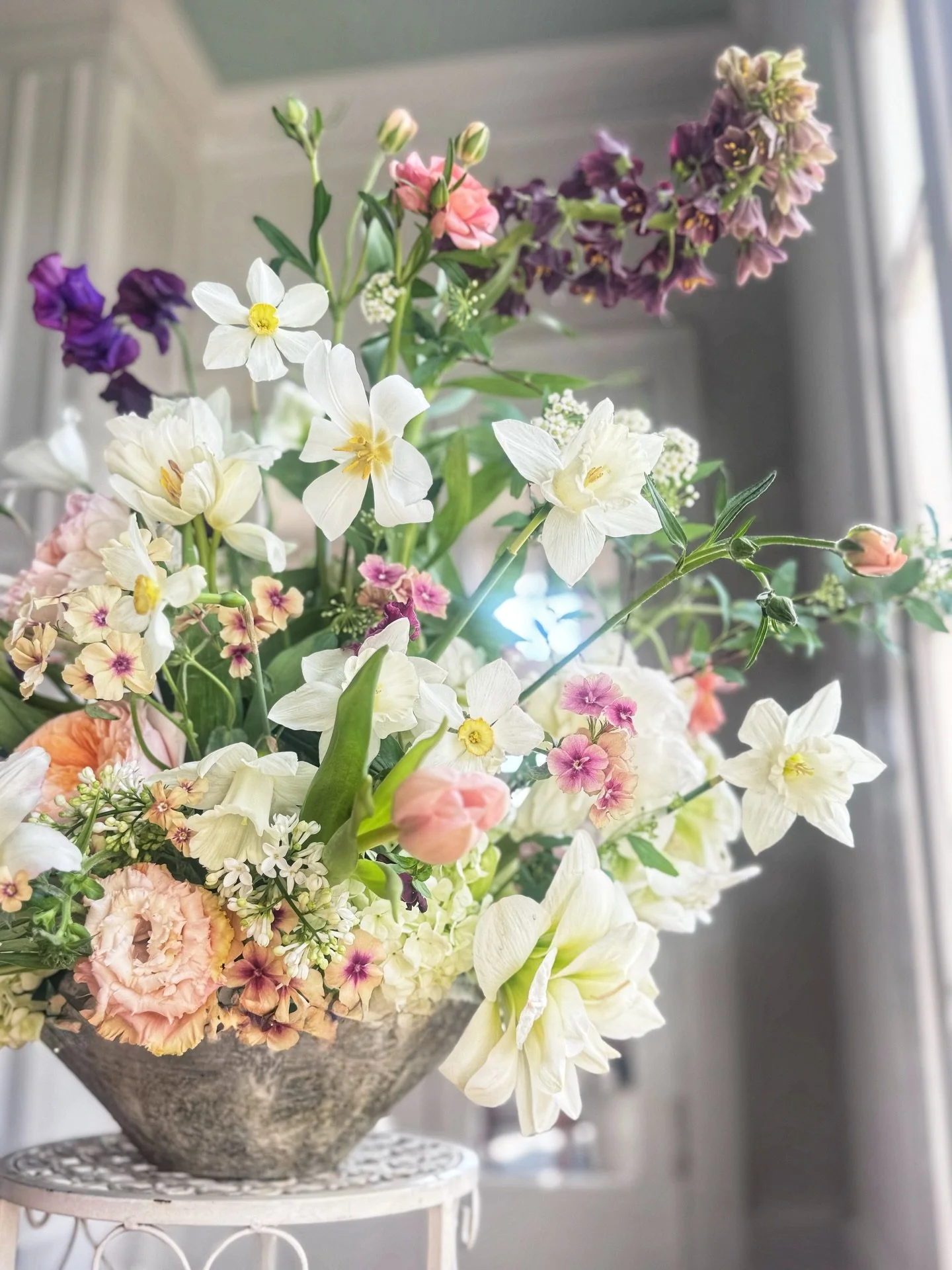 Hard not to go bulbous when arranging in spring. Might be entering my Regency period. Dunno. 

#gardenarrangements #gardeningfloristry #oldworldflowers #bloomandbounty