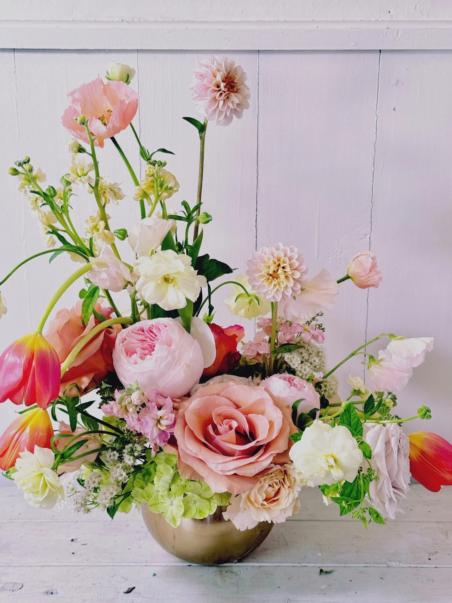 🧡 nodding tulips 🧡 &amp; 🌸 first dahlias 🌸