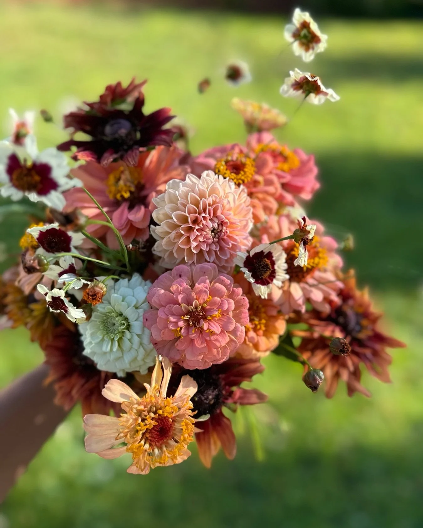 Shades of sherbert in a sunrise bouquet 🧡

#bloomandbounty #nashvilleflorist #farmerflorist