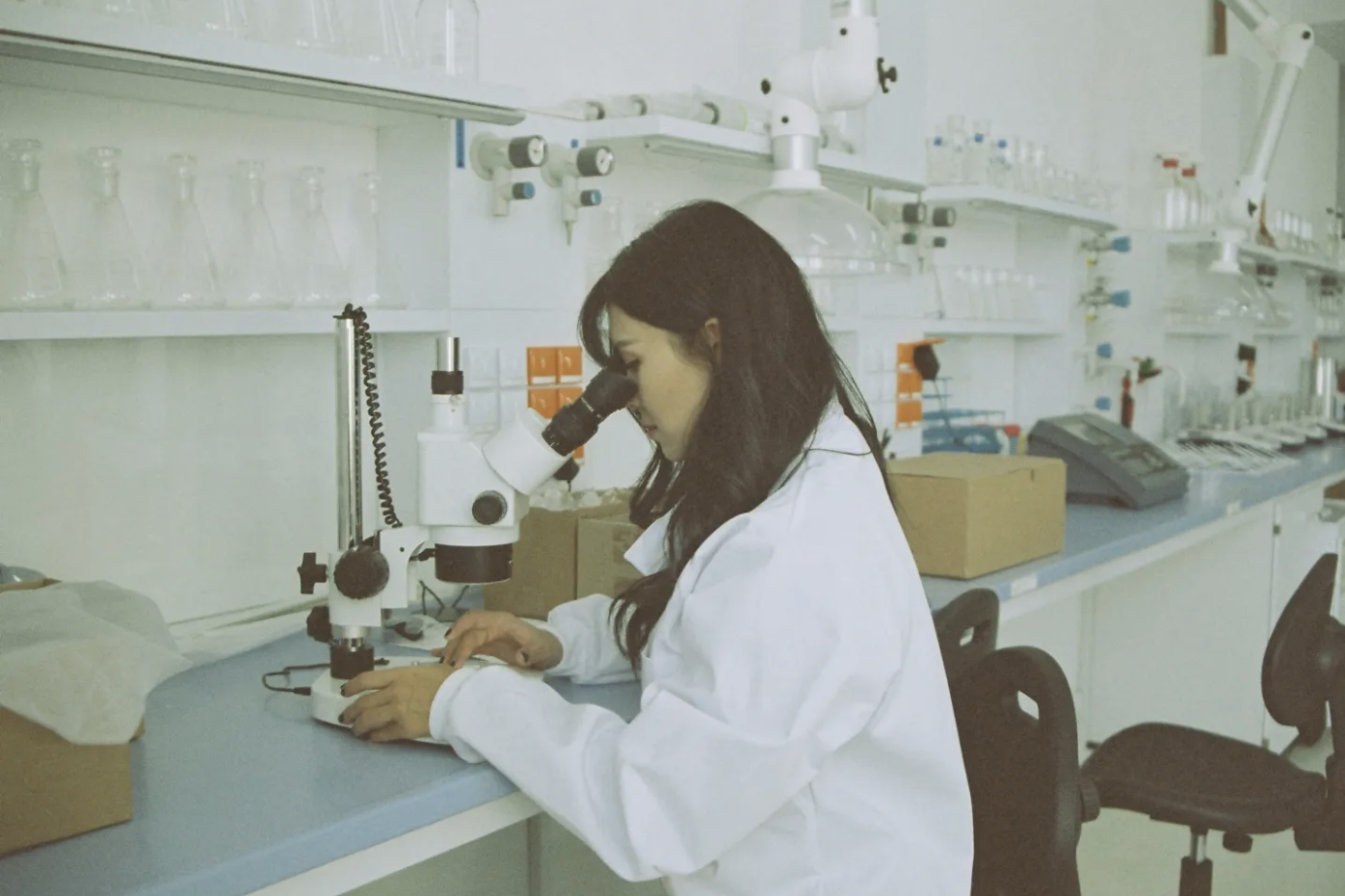 Screenshot 2024-11-03 at 8.32.16 AM.png