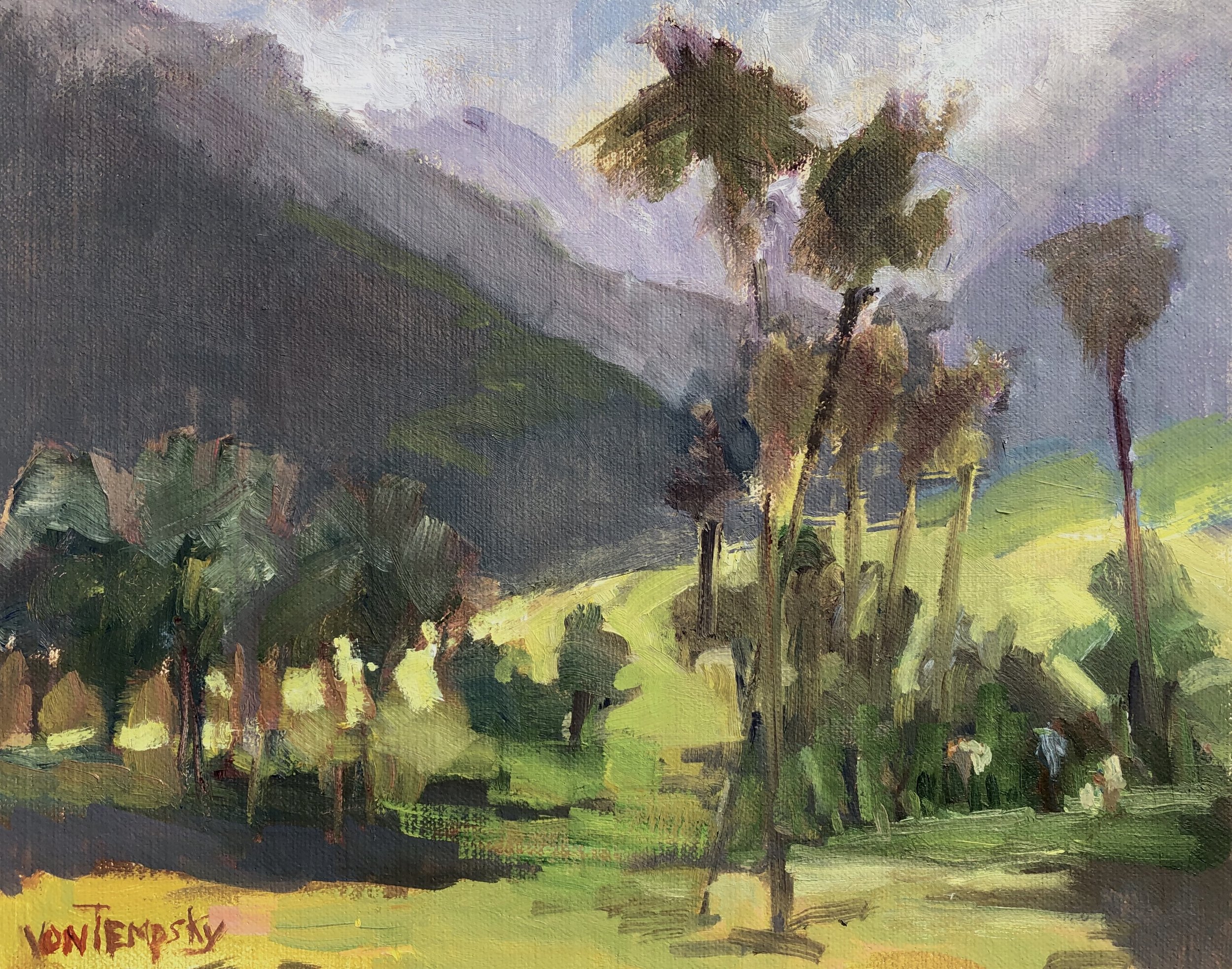 Waikapu Valley.jpeg