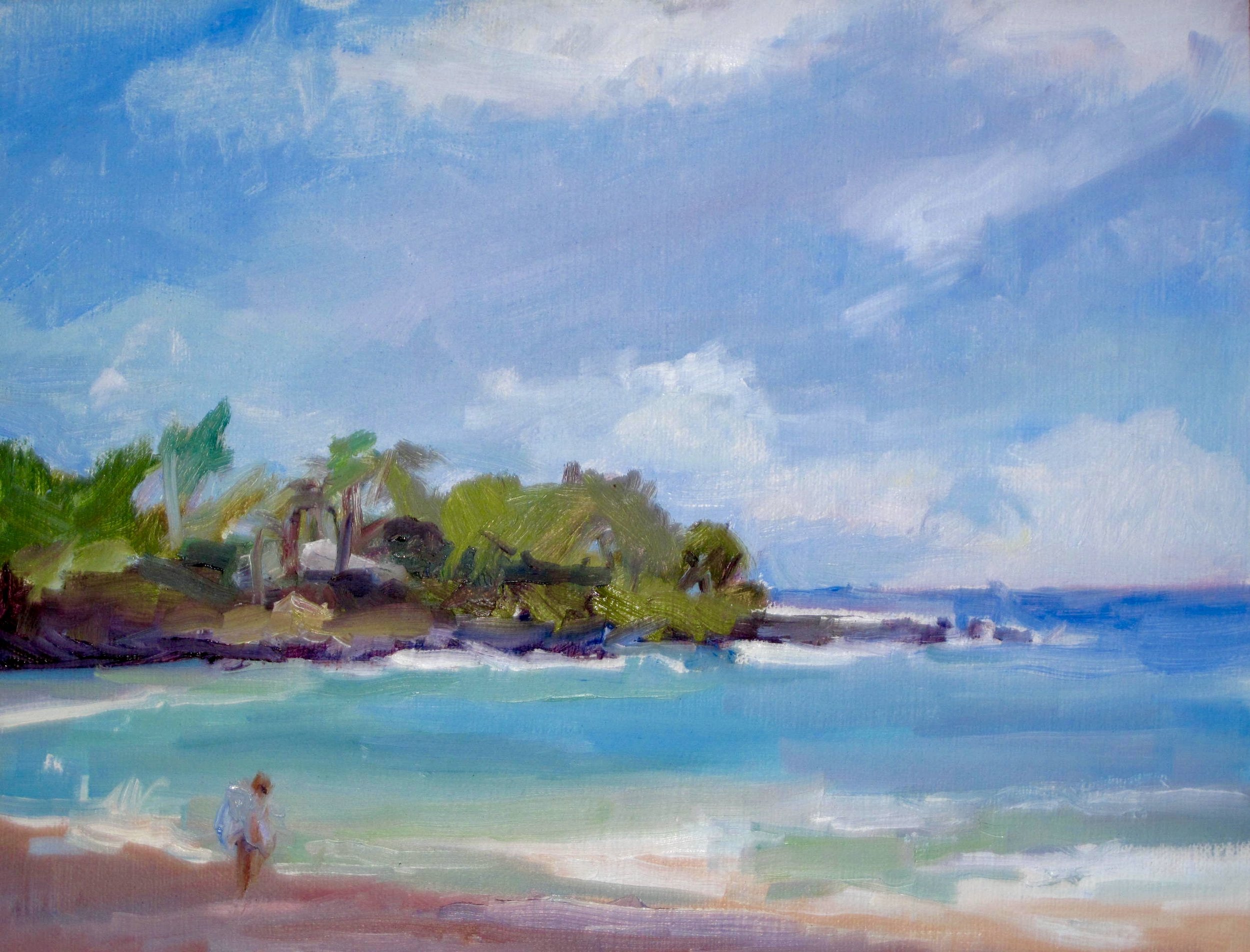 Hamoa Beach near Hana.jpeg