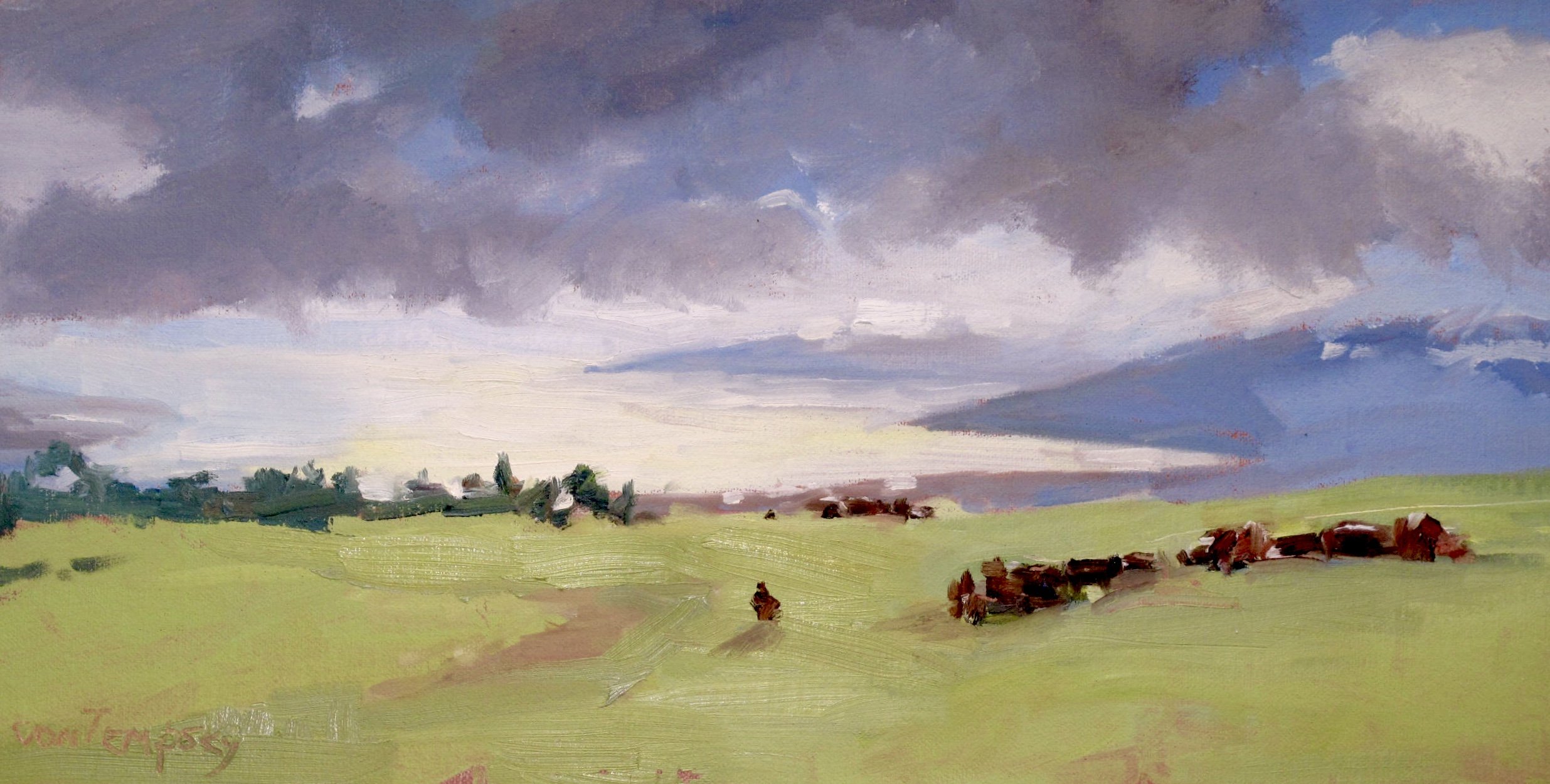 Sunset on KI Ranch Kula.jpeg