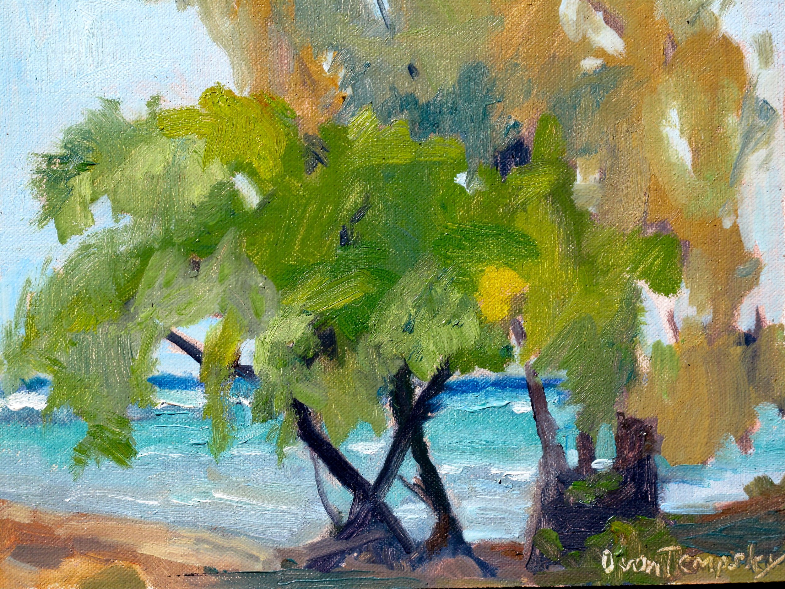 Paia Mission trees.jpeg