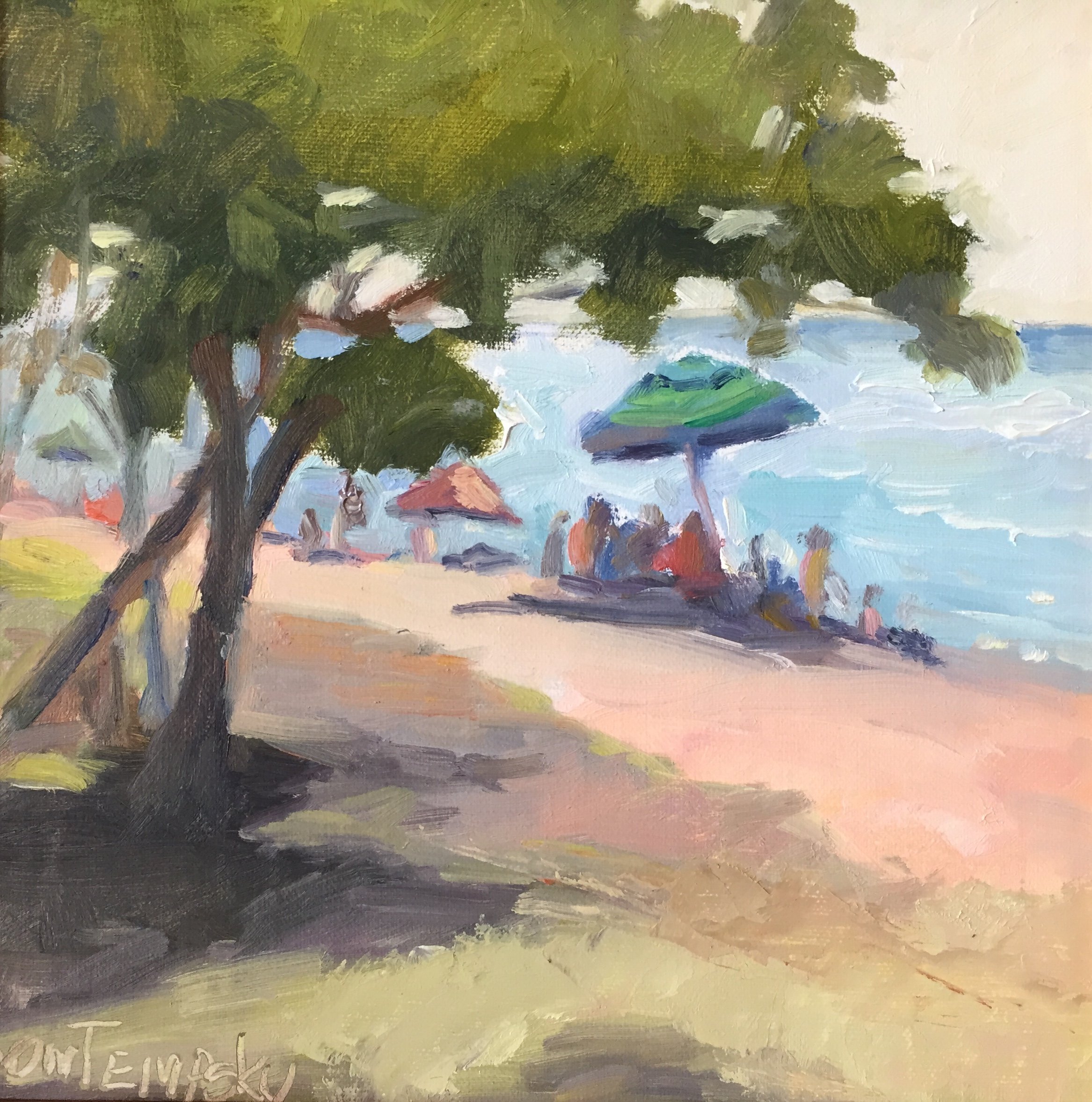 Baby Beach Lahaina.jpeg