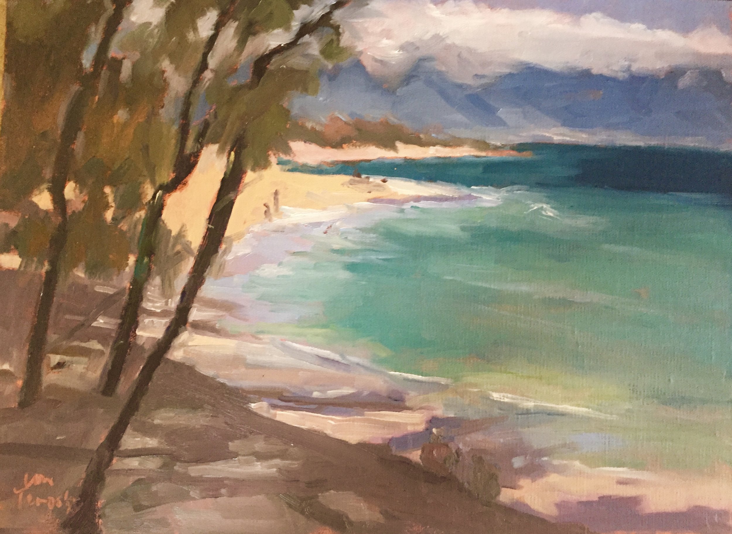Baldwin Beach View.jpeg
