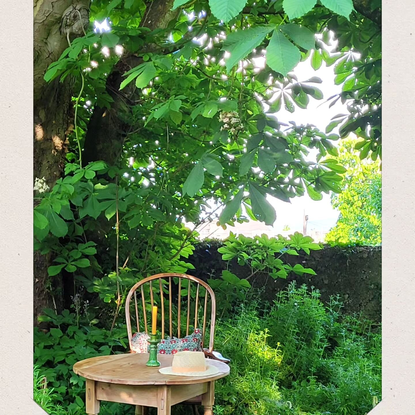 Perfect day spent in the garden photographing some of our lovely furniture ❤️ See our website for further information on our 19th Century elm Windsor armchair.