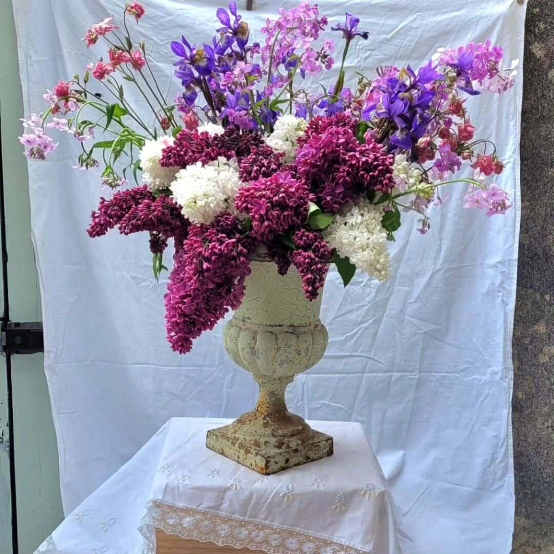 Our 19th century miniature medici Garden urn looking glorious this morning. More info on our website. Beautiful flowers from @nenaghcountrymarket