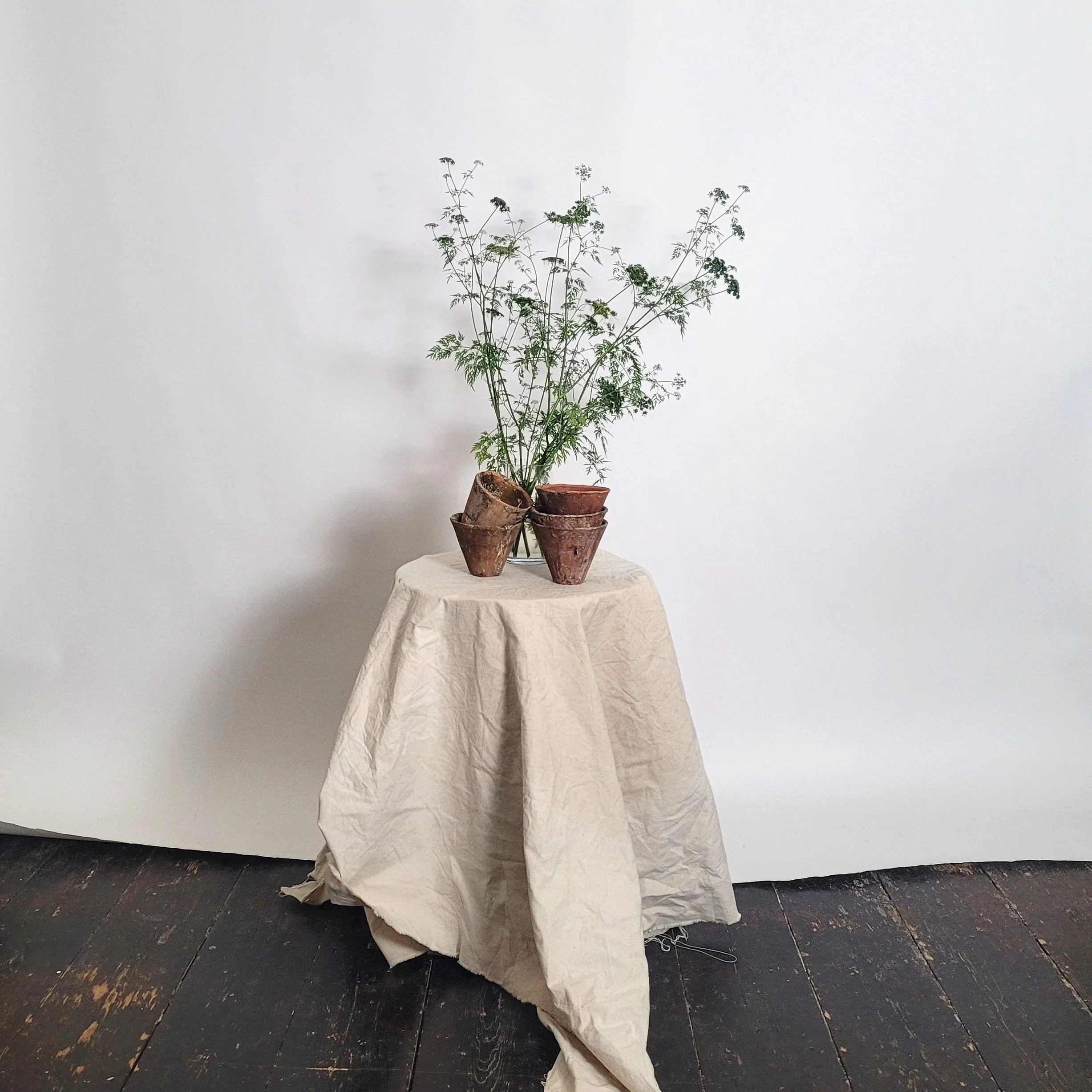 flower pots edited.jpg